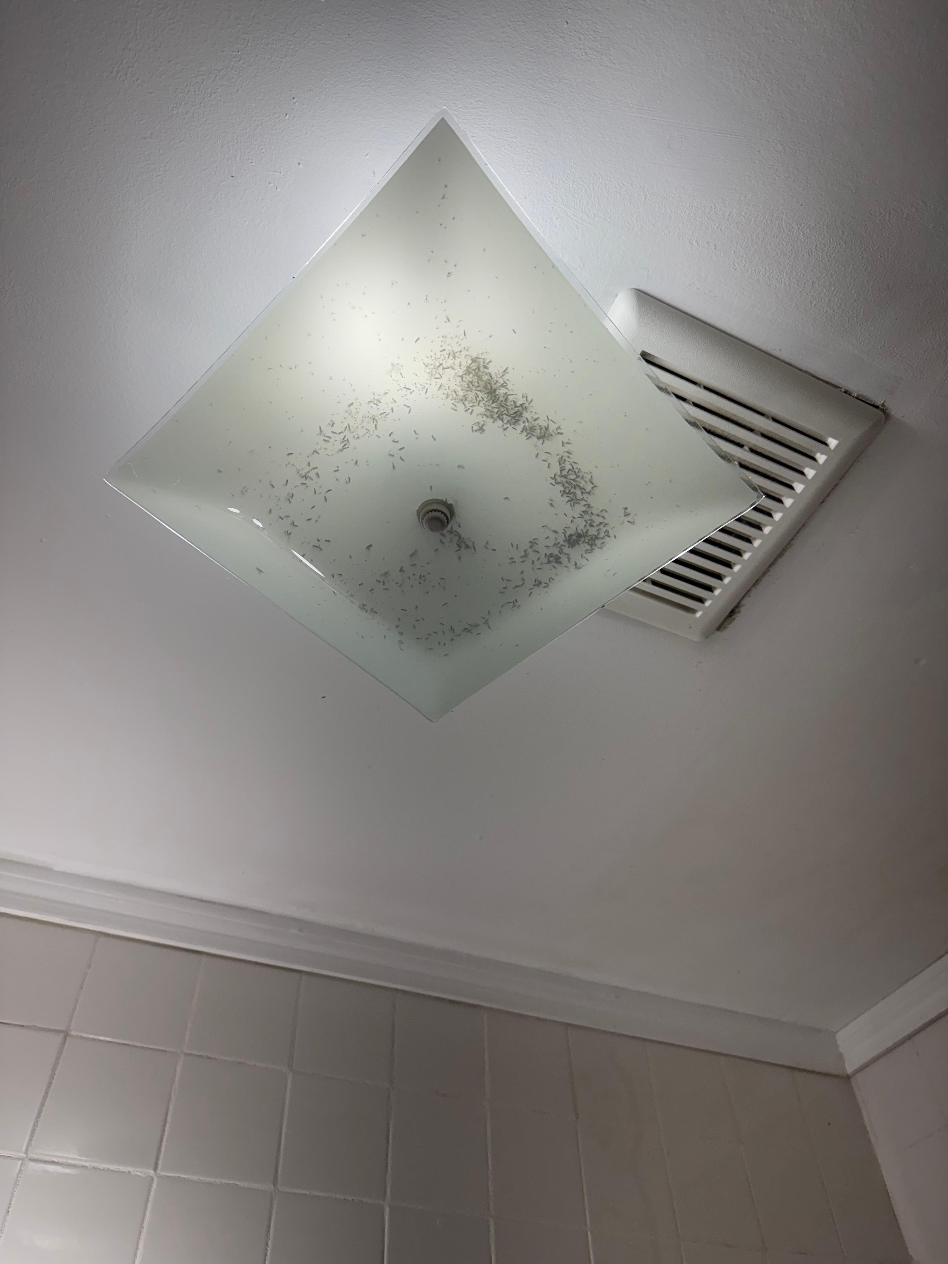 Bathroom light 