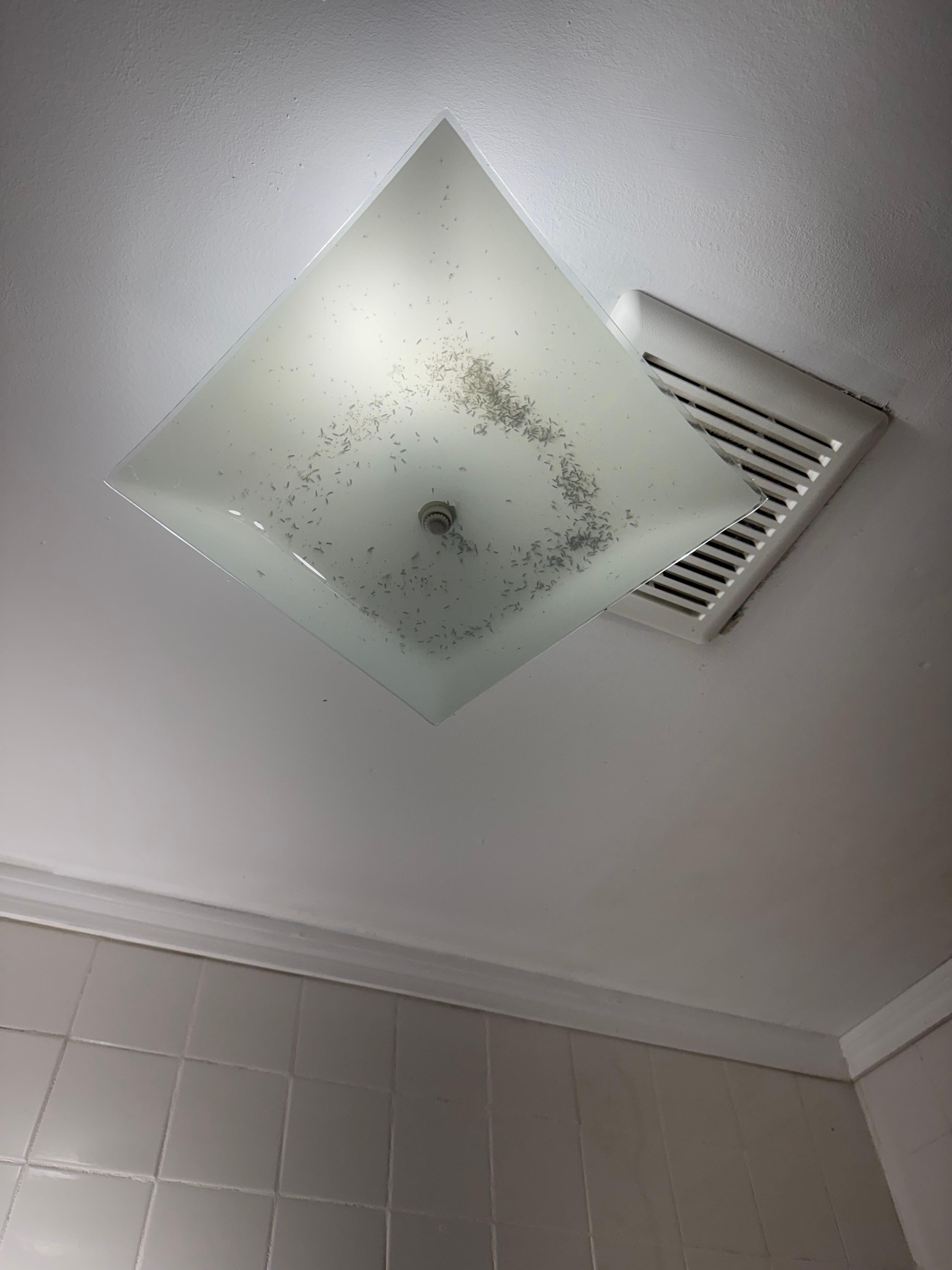 Bathroom light 