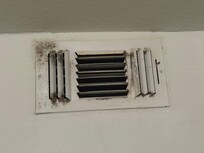 Mold vents out of few of the vents