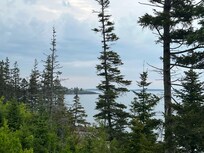 View from the deck