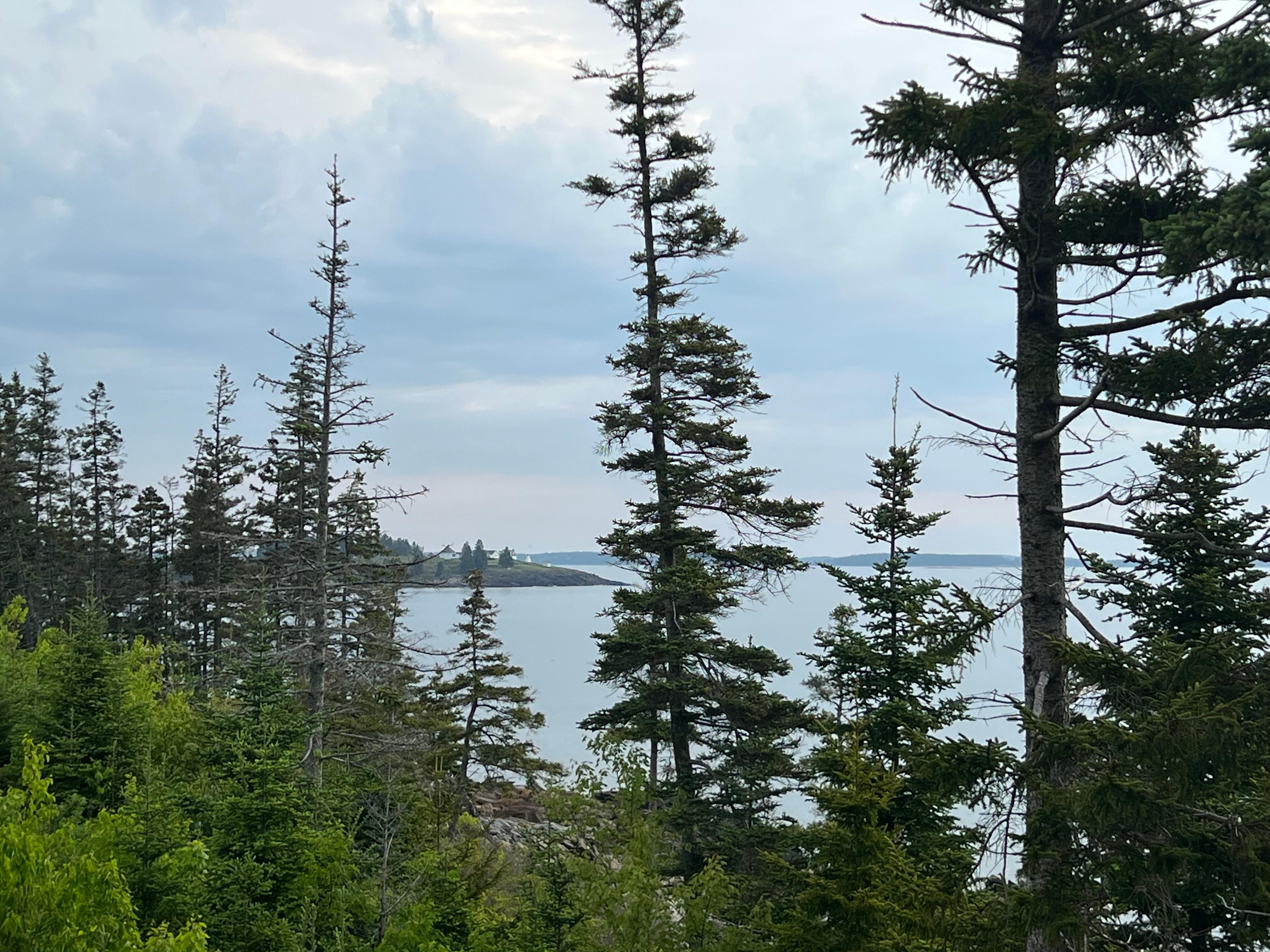 View from the deck
