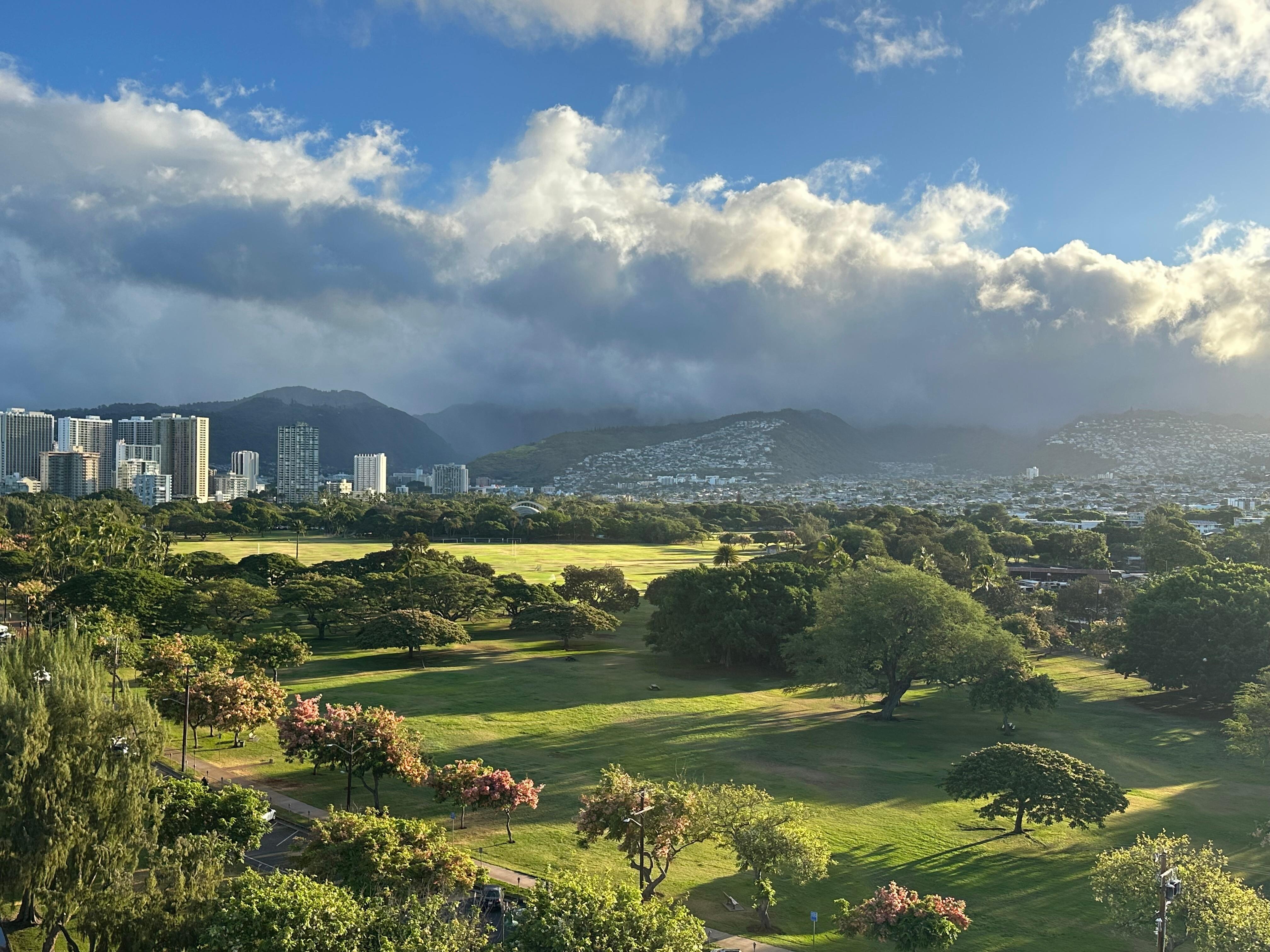 Looking out at Kapiolani Park and Honolulu.