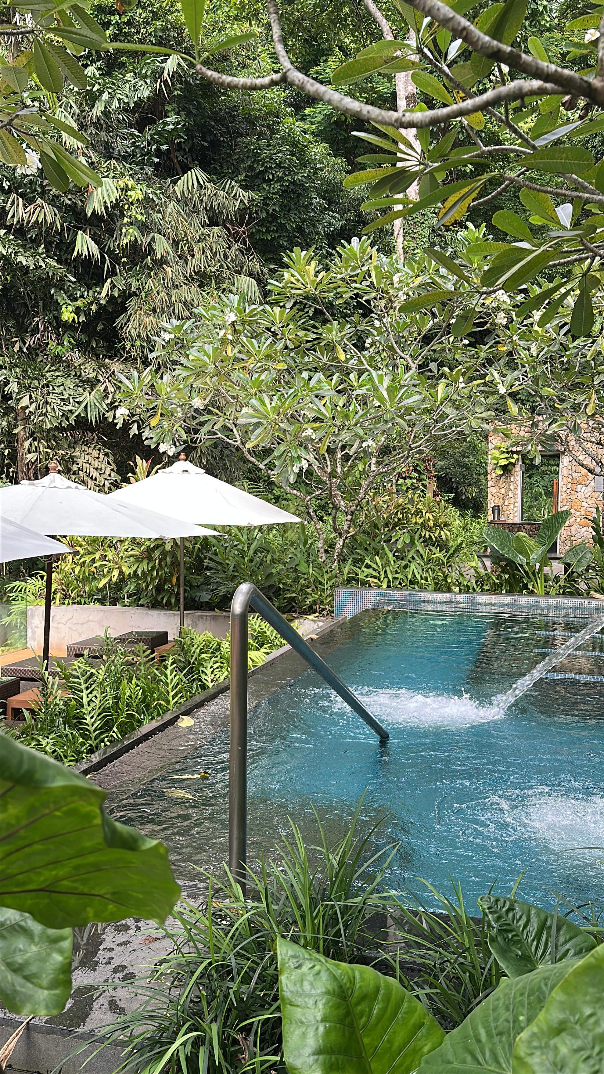Rainforest spa pool