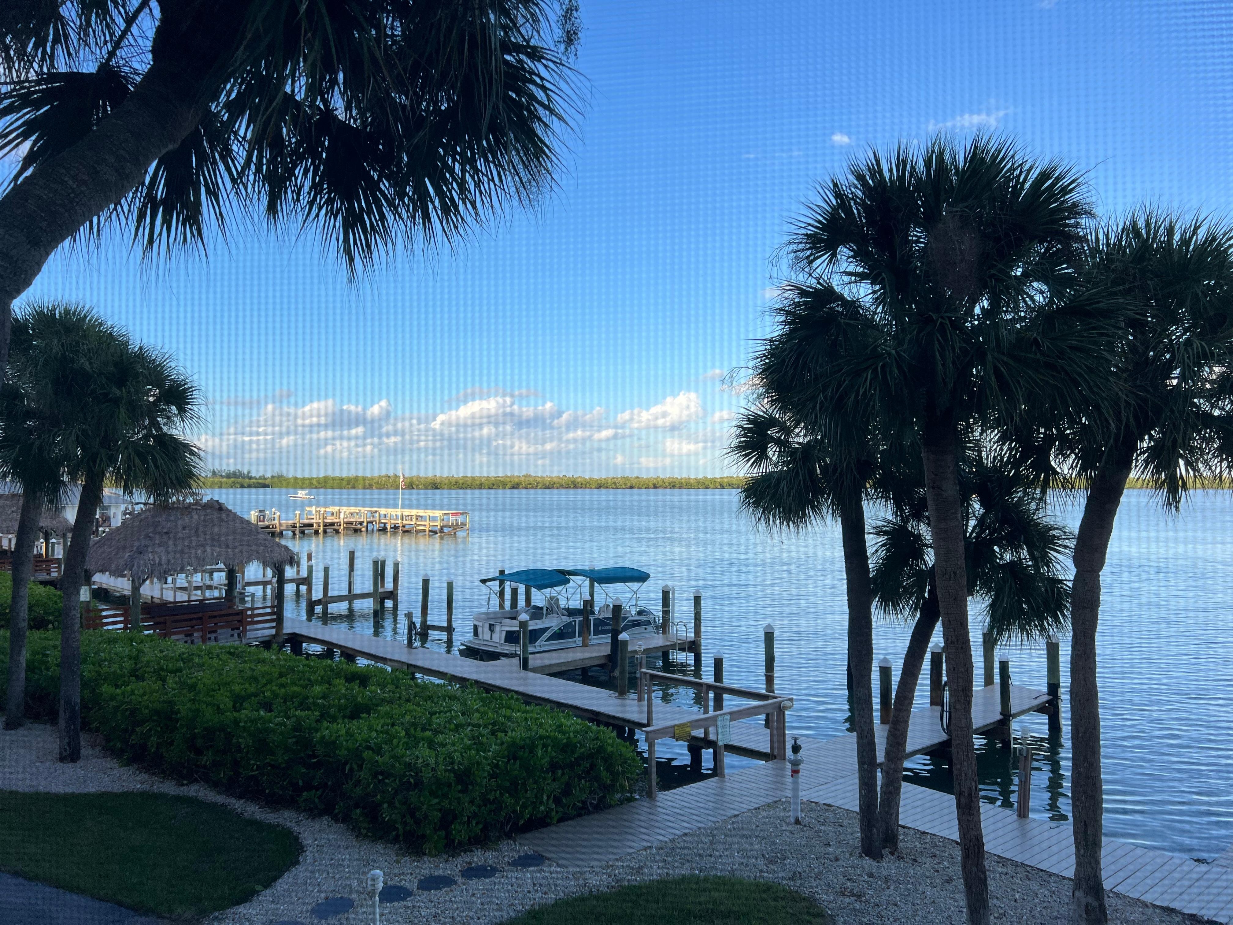 Watching the world go by as u relax here! 