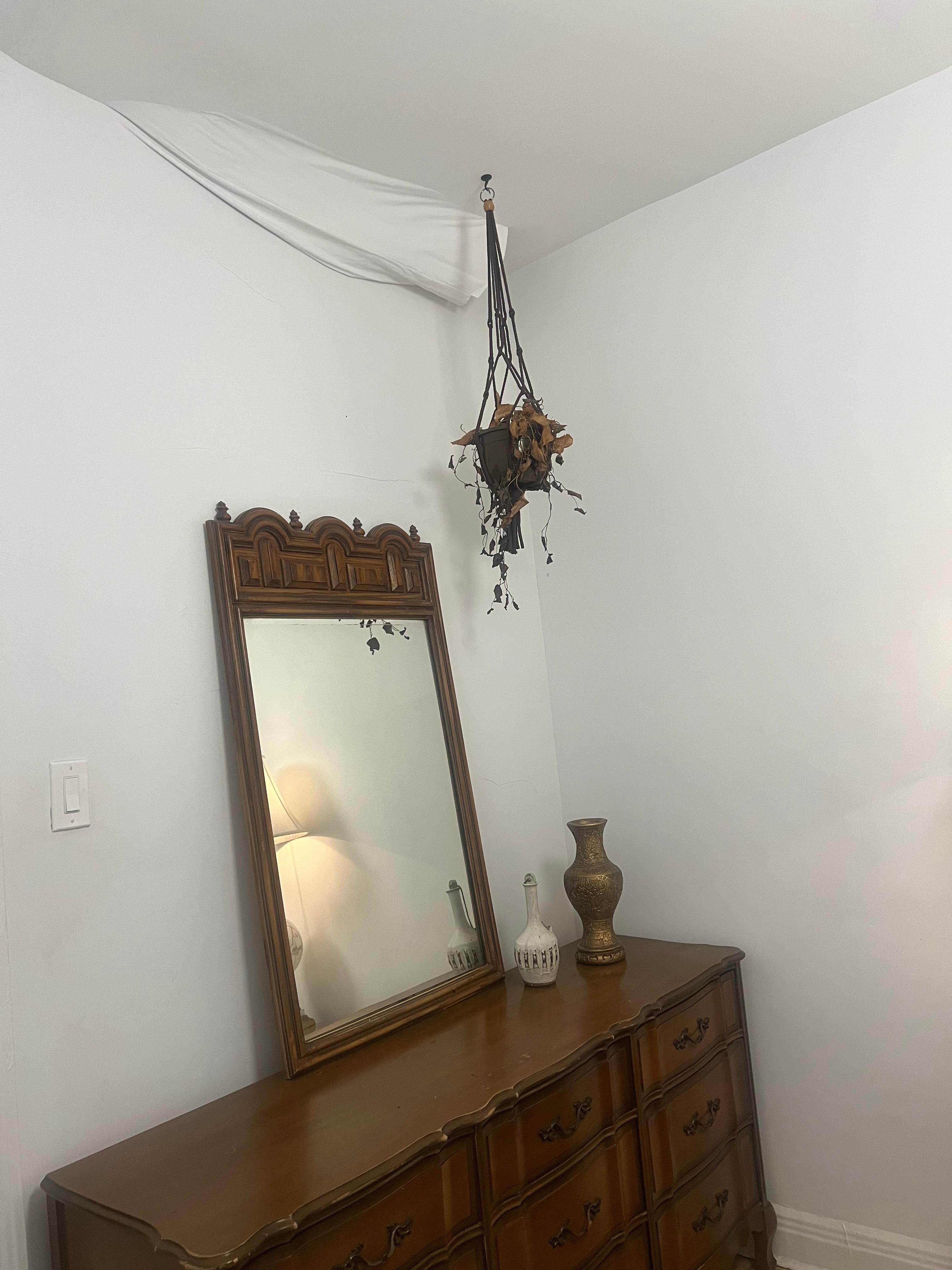 Dead plant and ceiling hanging down.