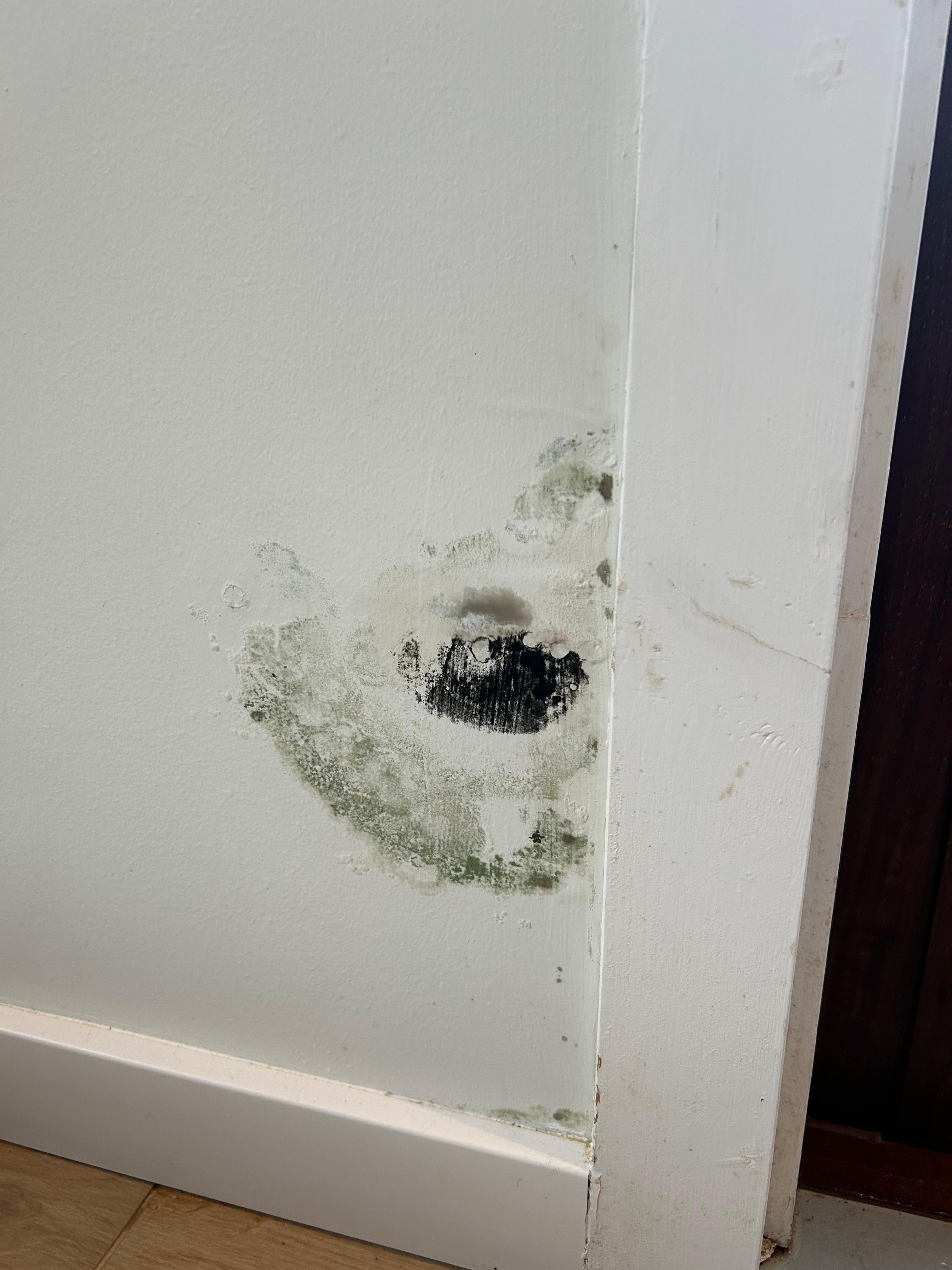 Mold (tried to hide it with couch)