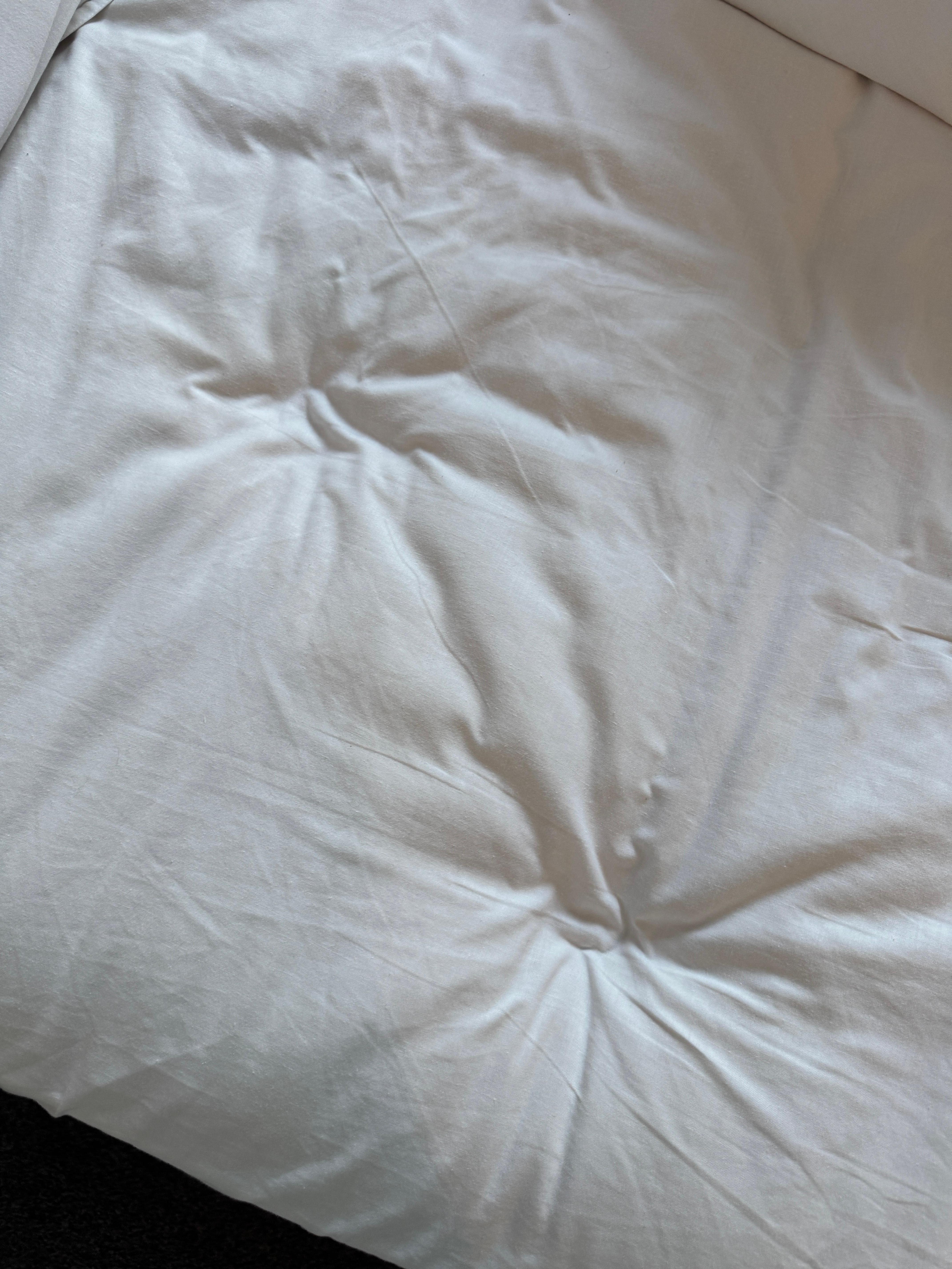 Bed was hard with little to no padding.