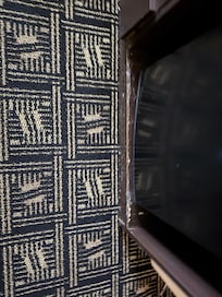 bug on the floor did not show up on the picture