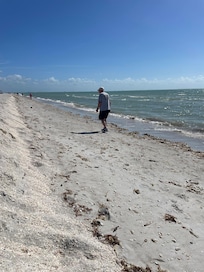 Walking on the beach
