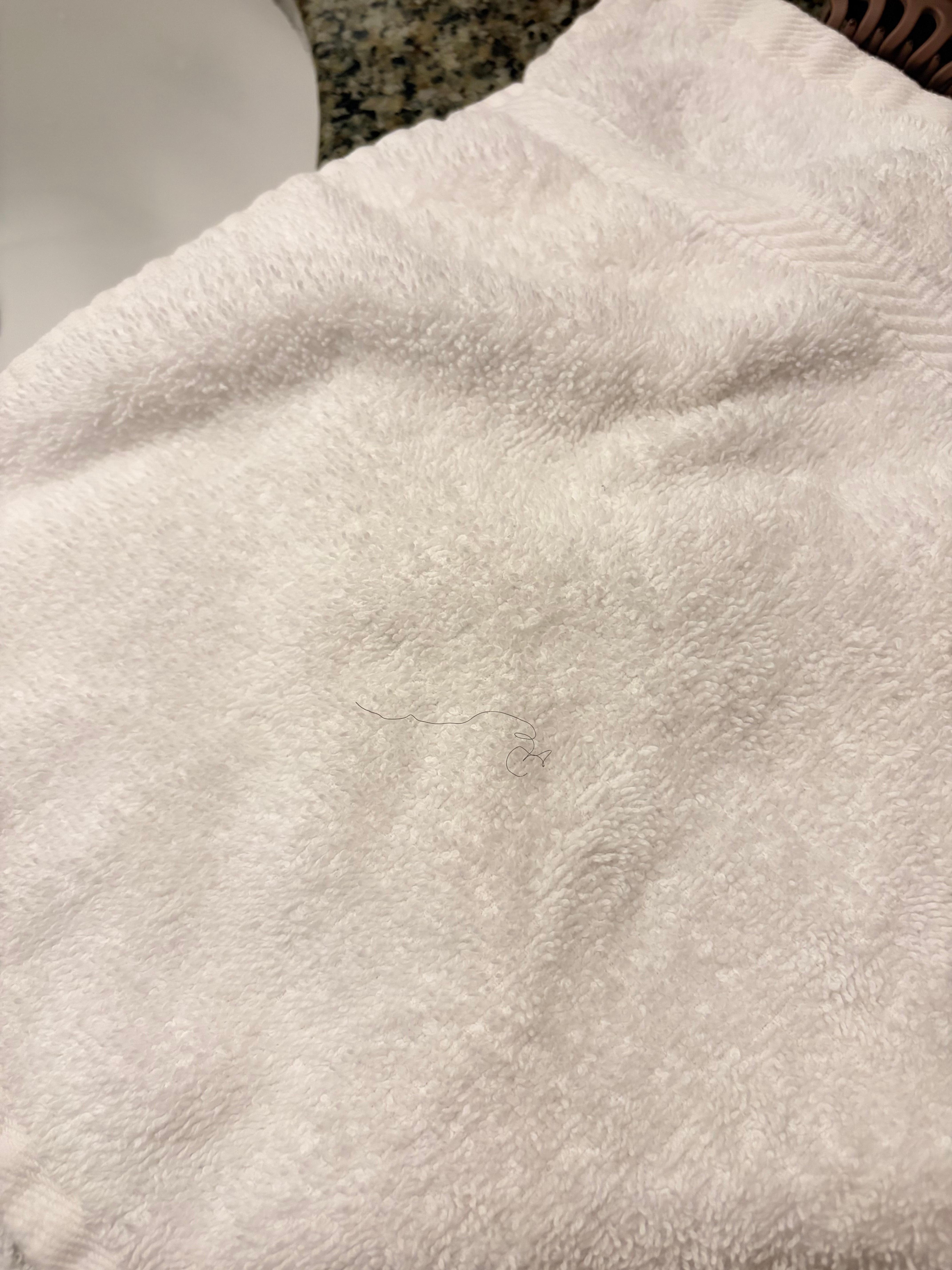 Pubic hair on clean towels