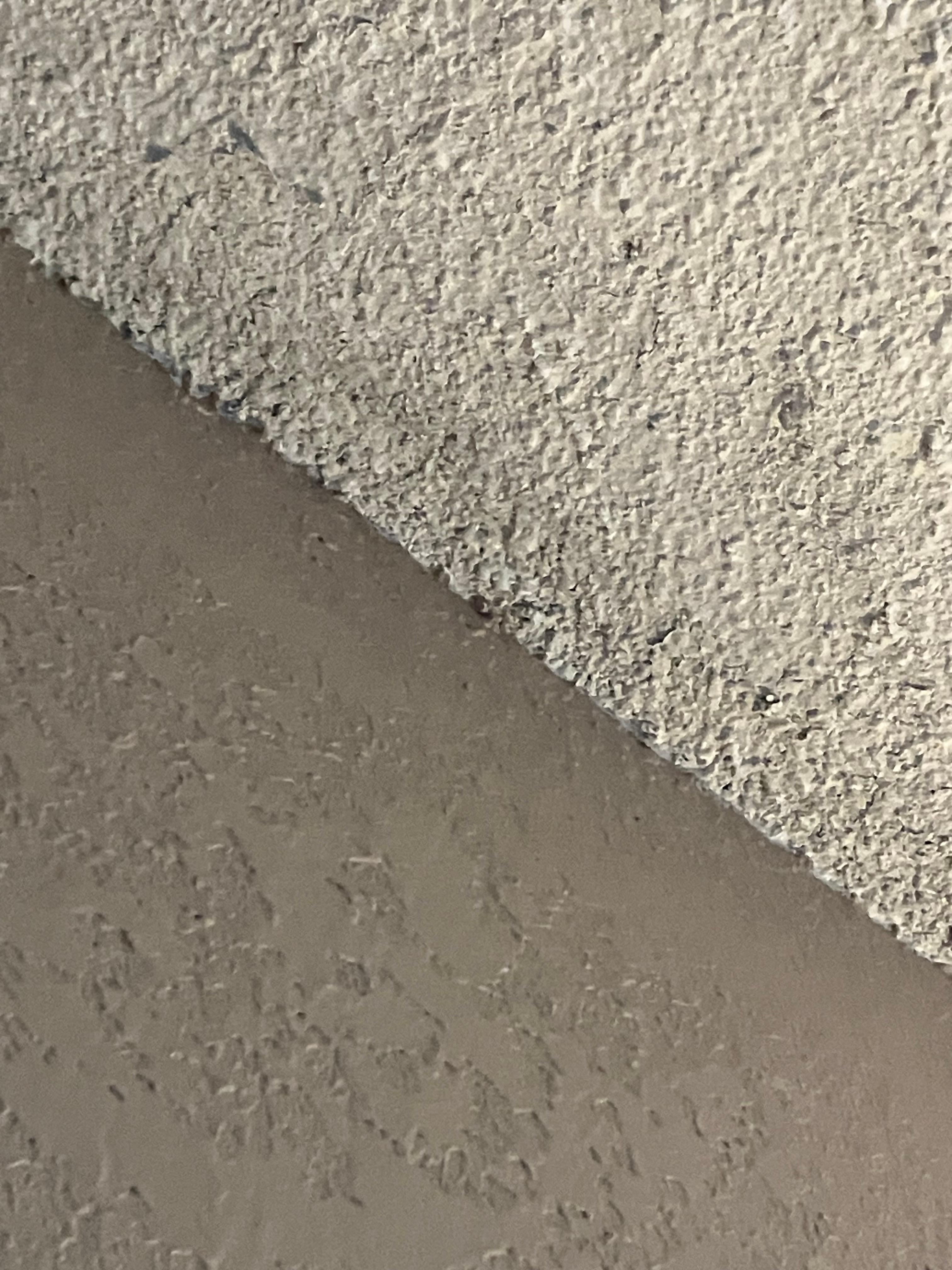 Mold on living room ceiling.