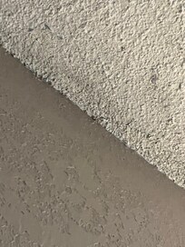 Mold on living room ceiling.