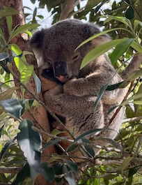 Baxter- right outside our sliding door