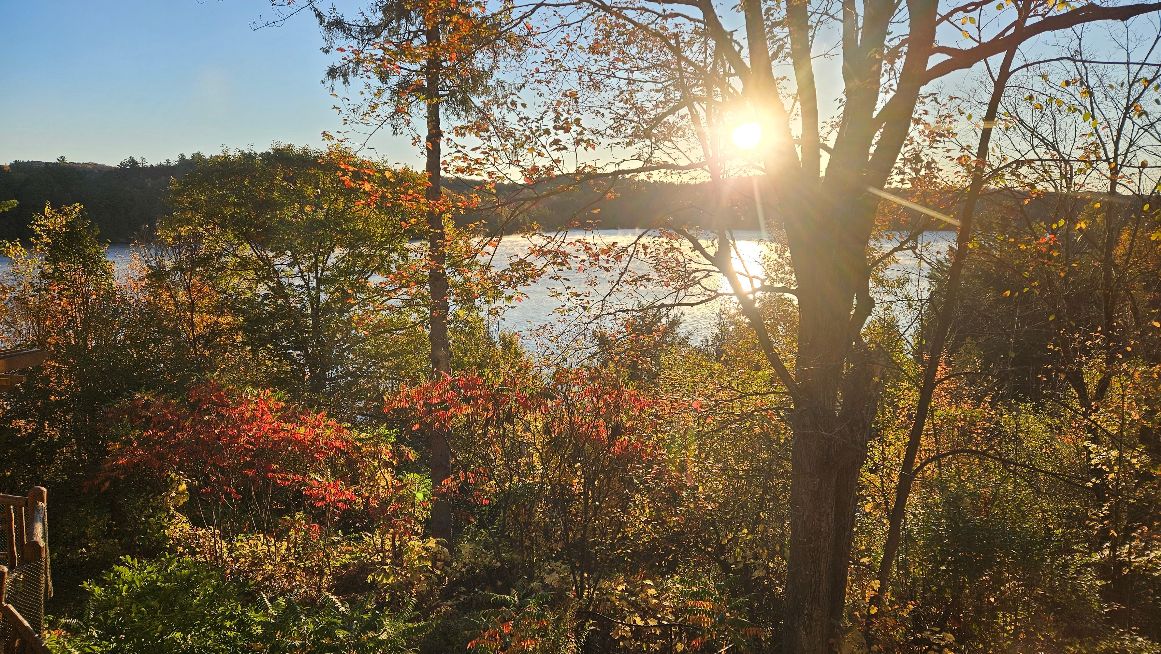 View from bedroom window