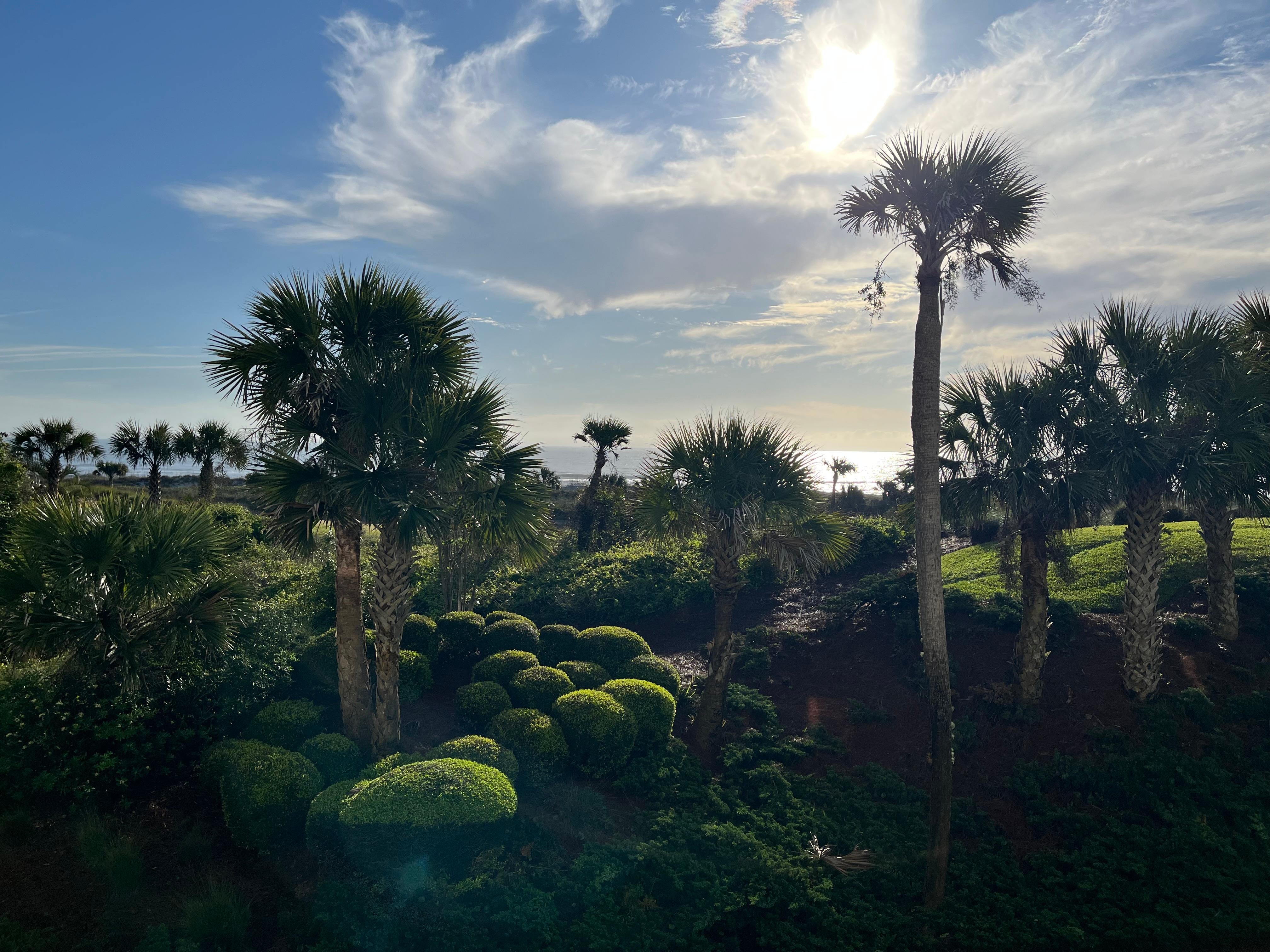 View from condo lanai 