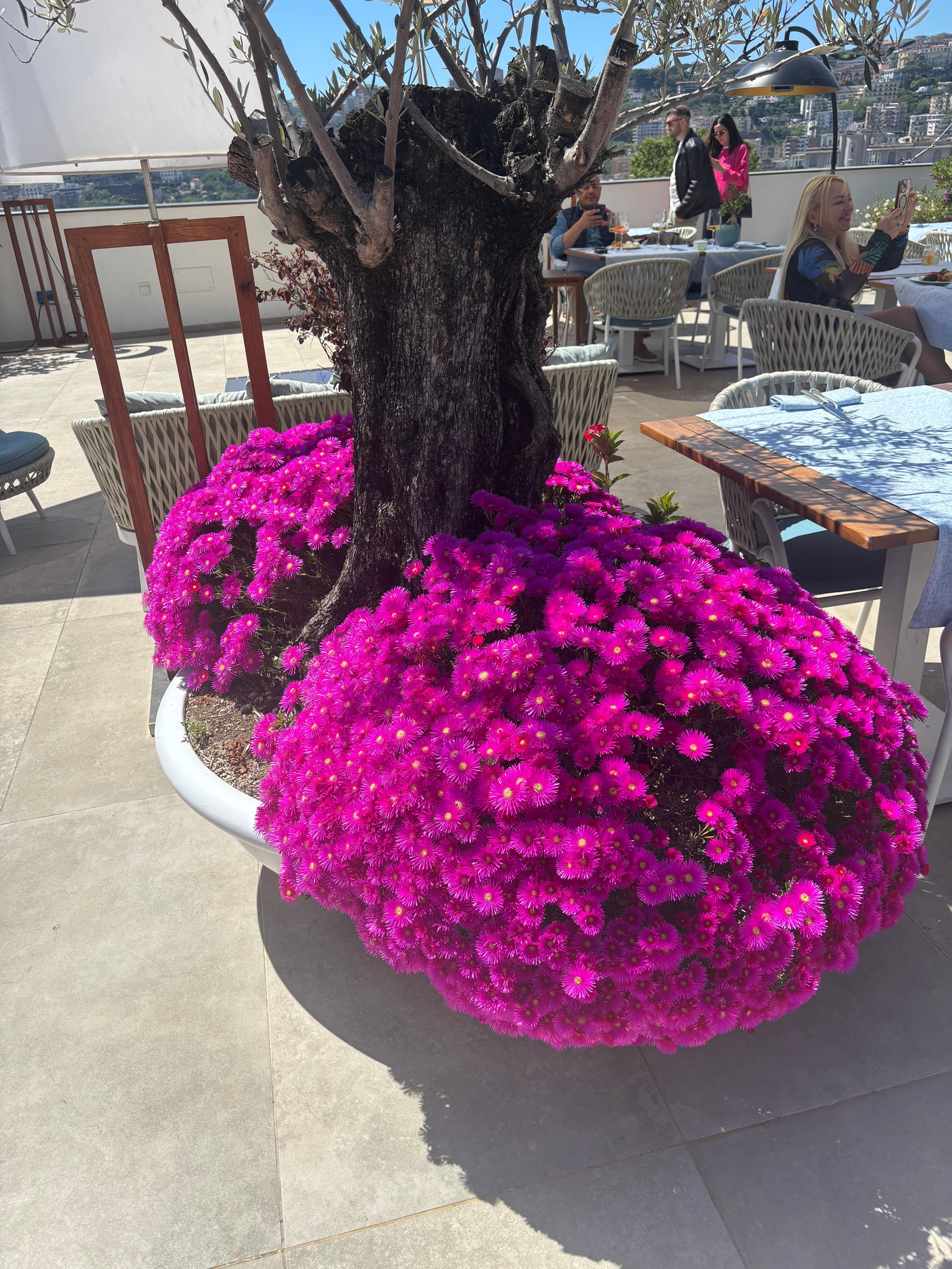 Restaurant’s outside patio