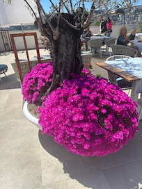 Restaurant’s outside patio