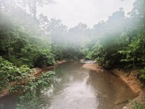 Part of a hiking trail