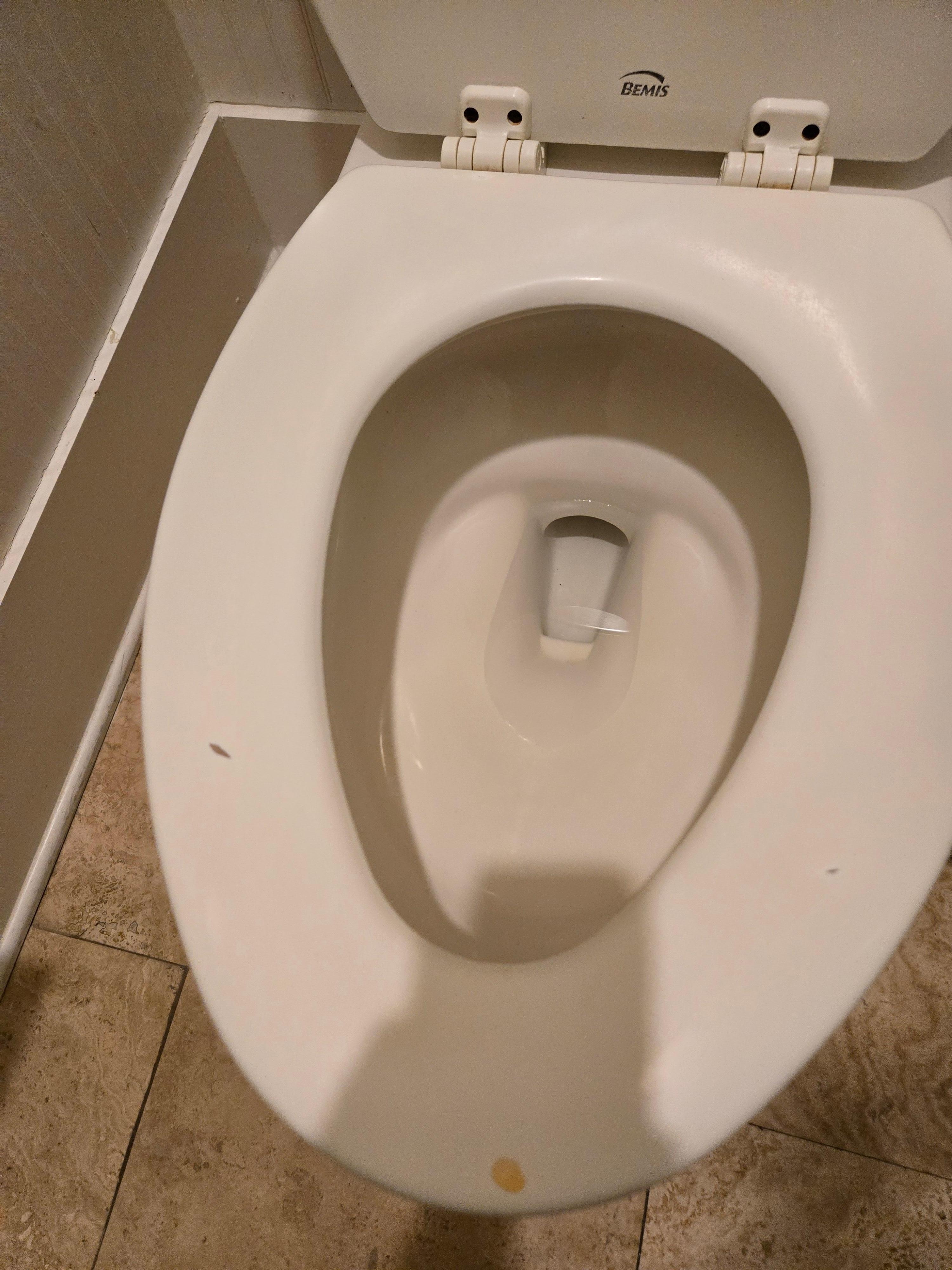 Master toilet seat (should be replaced for $25 with stains like this)