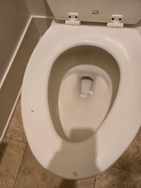 Master toilet seat (should be replaced for $25 with stains like this)