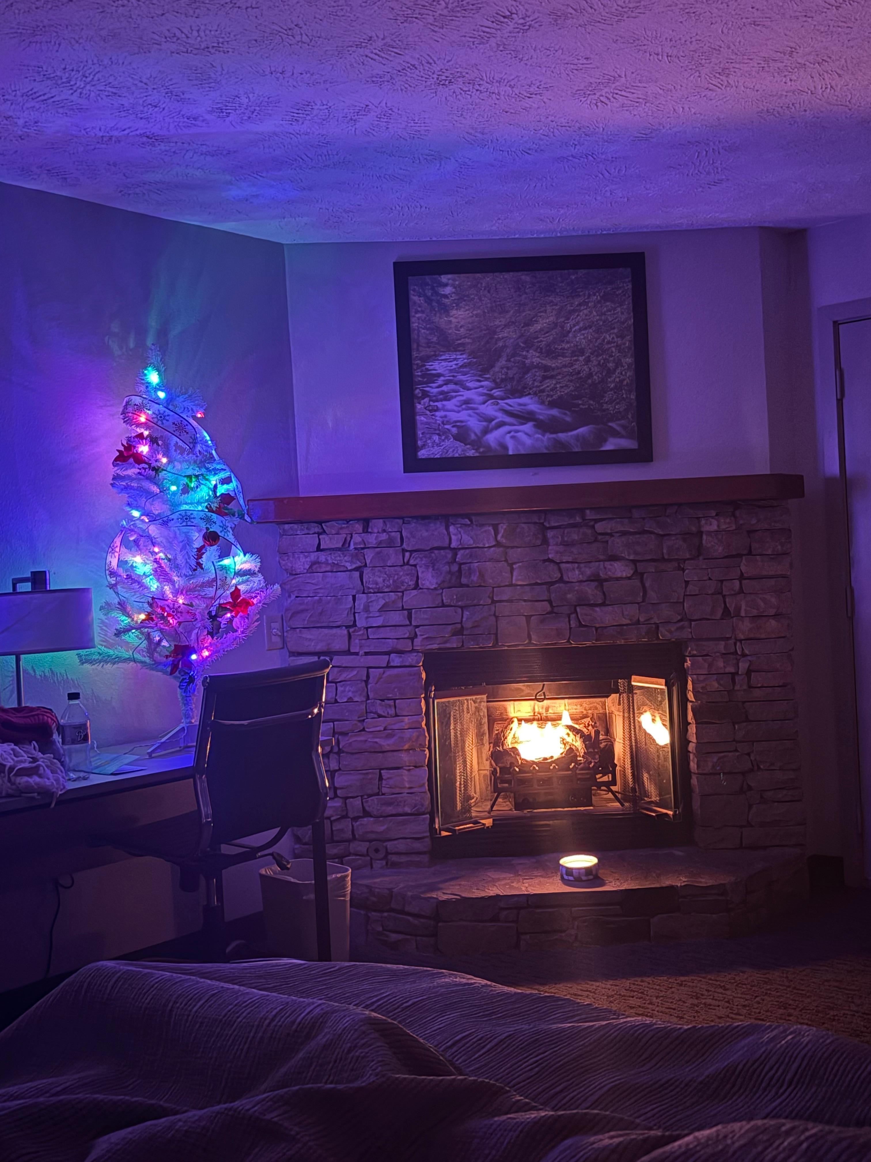 King suite ! I brought my own tree ! We decided one more night from a cabin and chose this goad we did ! So cozy and comfortable 