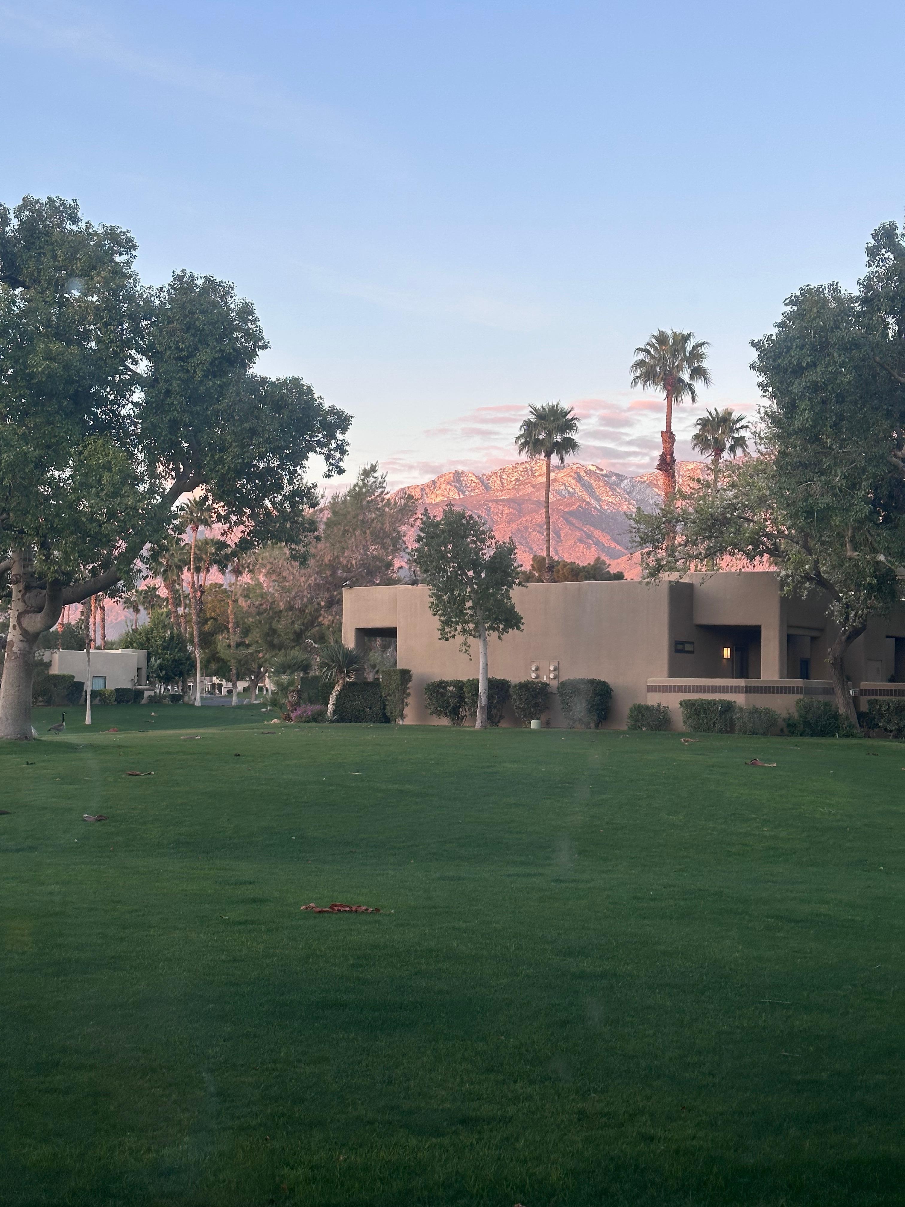 View from living room