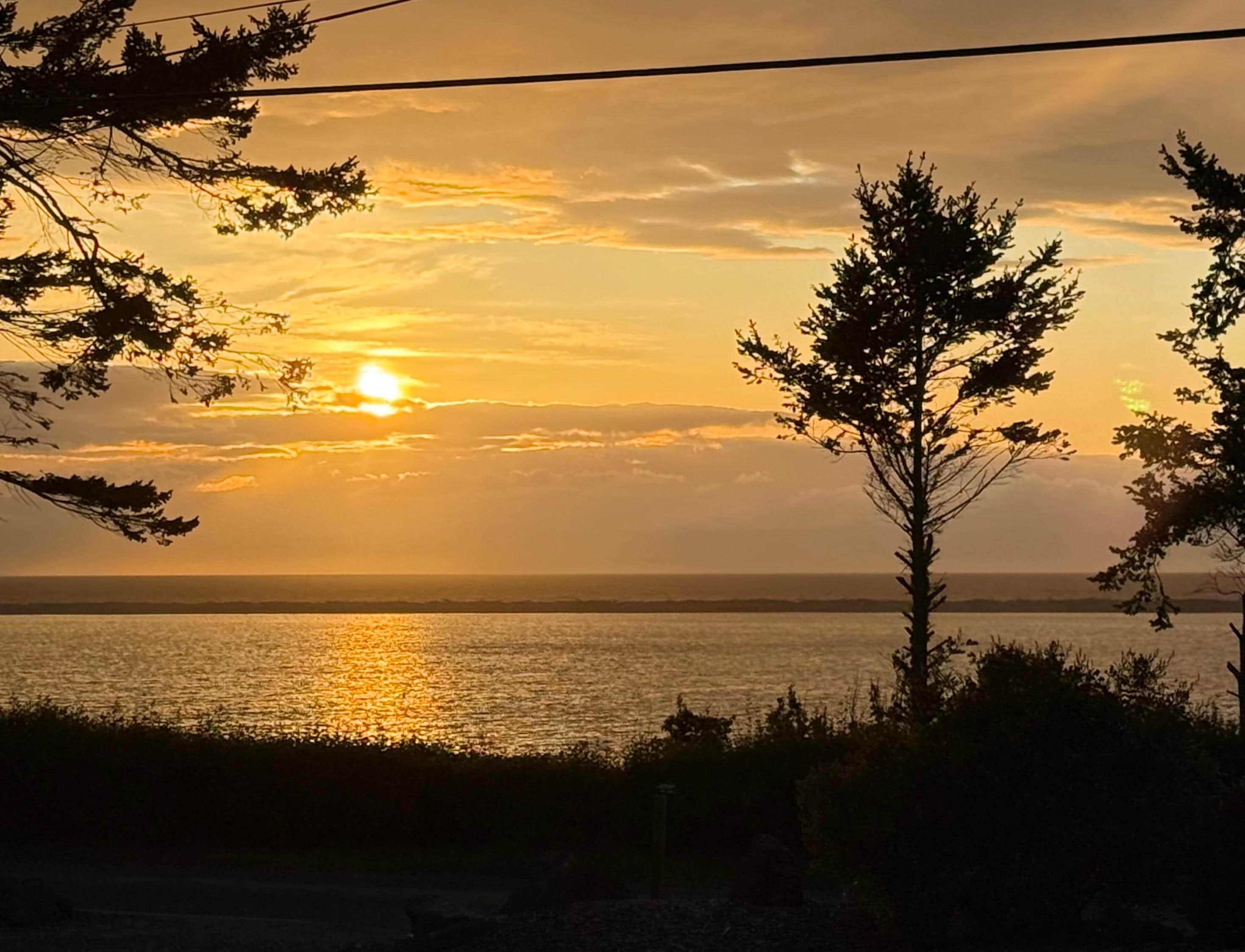 Dungeness Bay Cottages May 2026