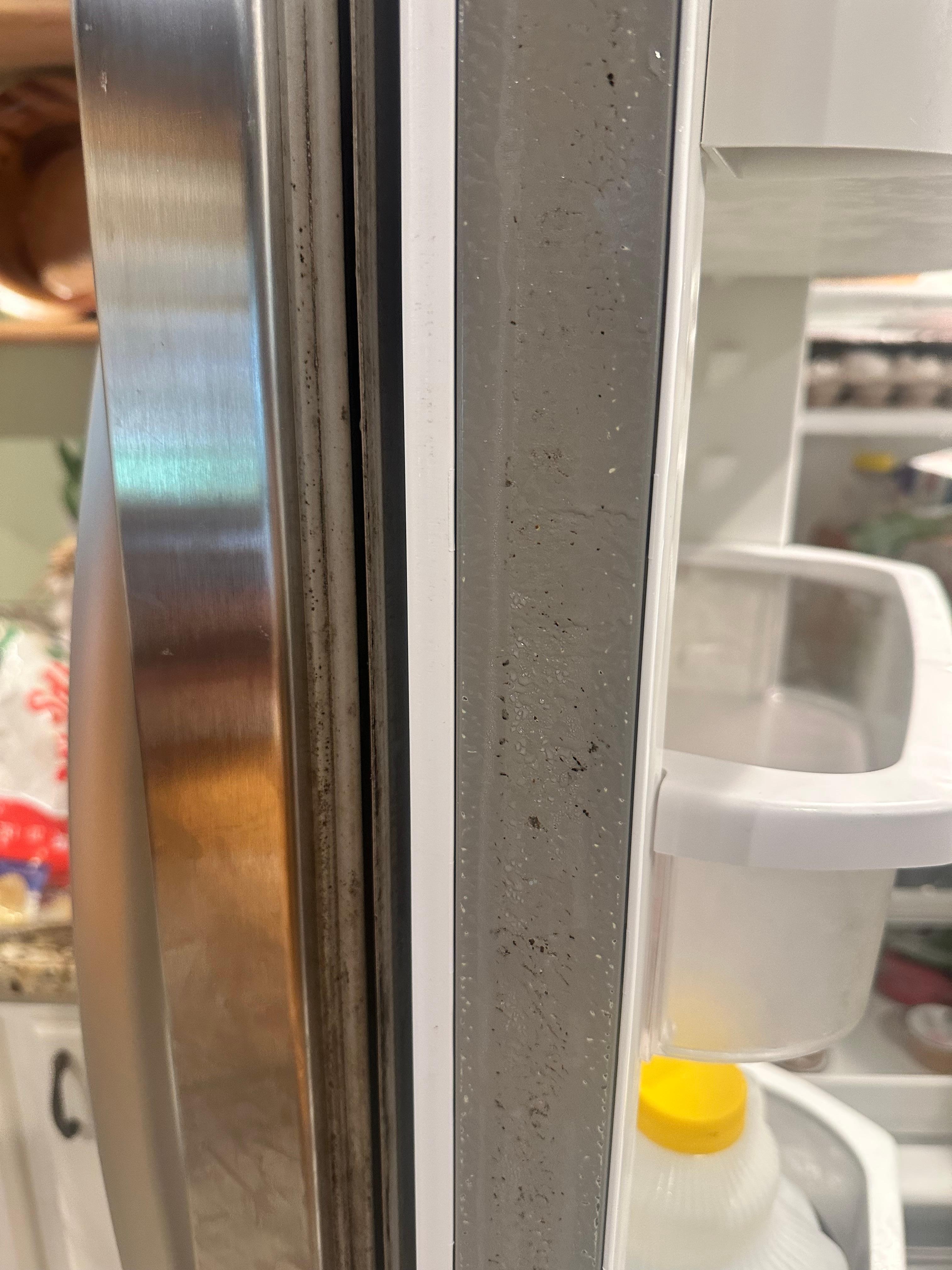 This is when you open the fridge 
Mold