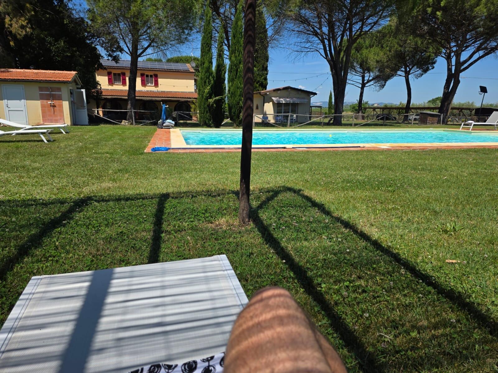 Pool mit ausreichend Liegen und schattenplätzen