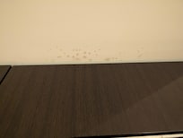 Black mold growing about the air vent