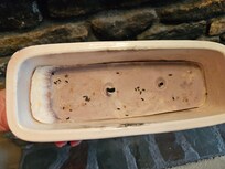 Mouse droppings