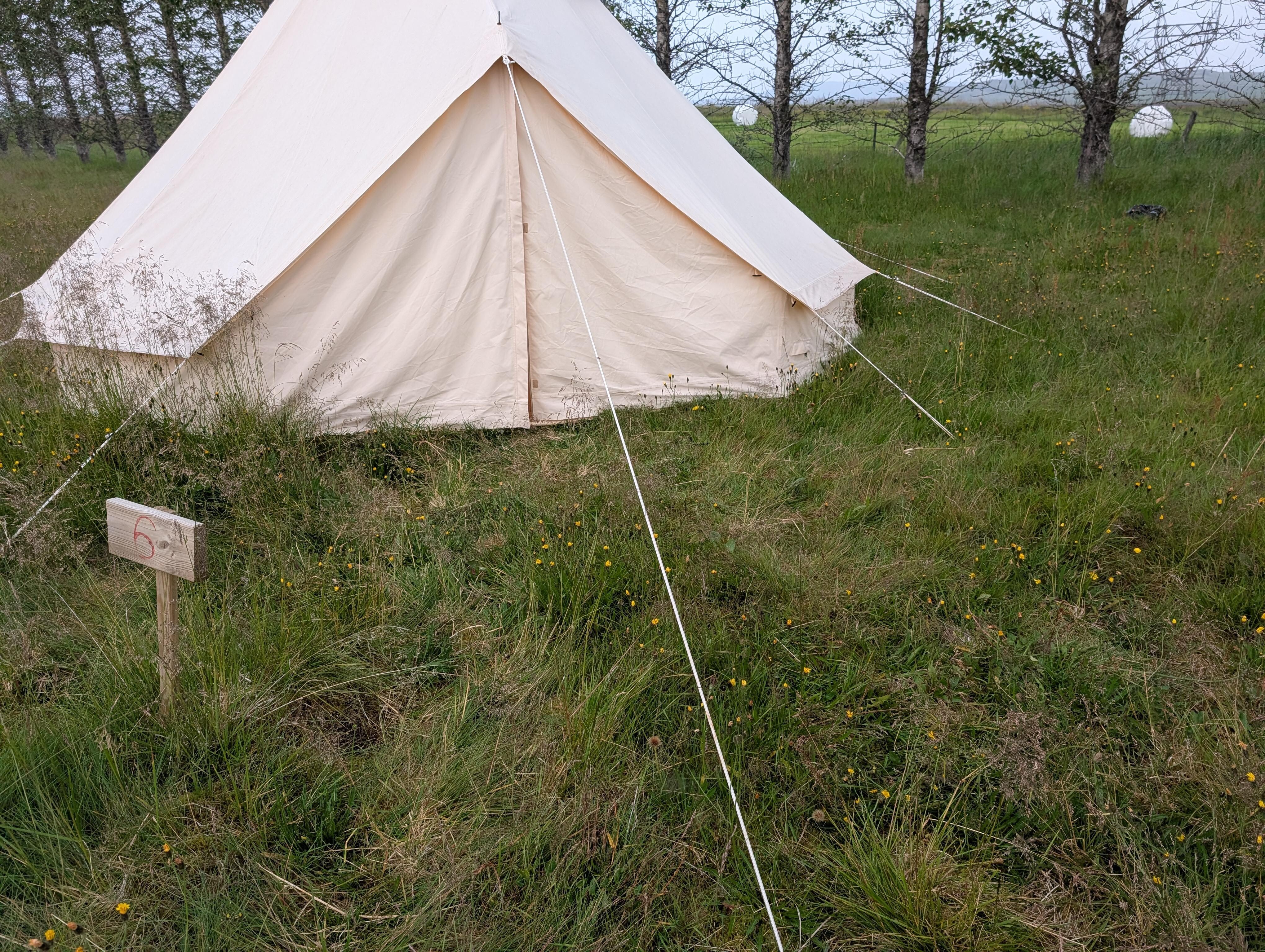 The grass in front of some of the tents was mowed, our was not. 
