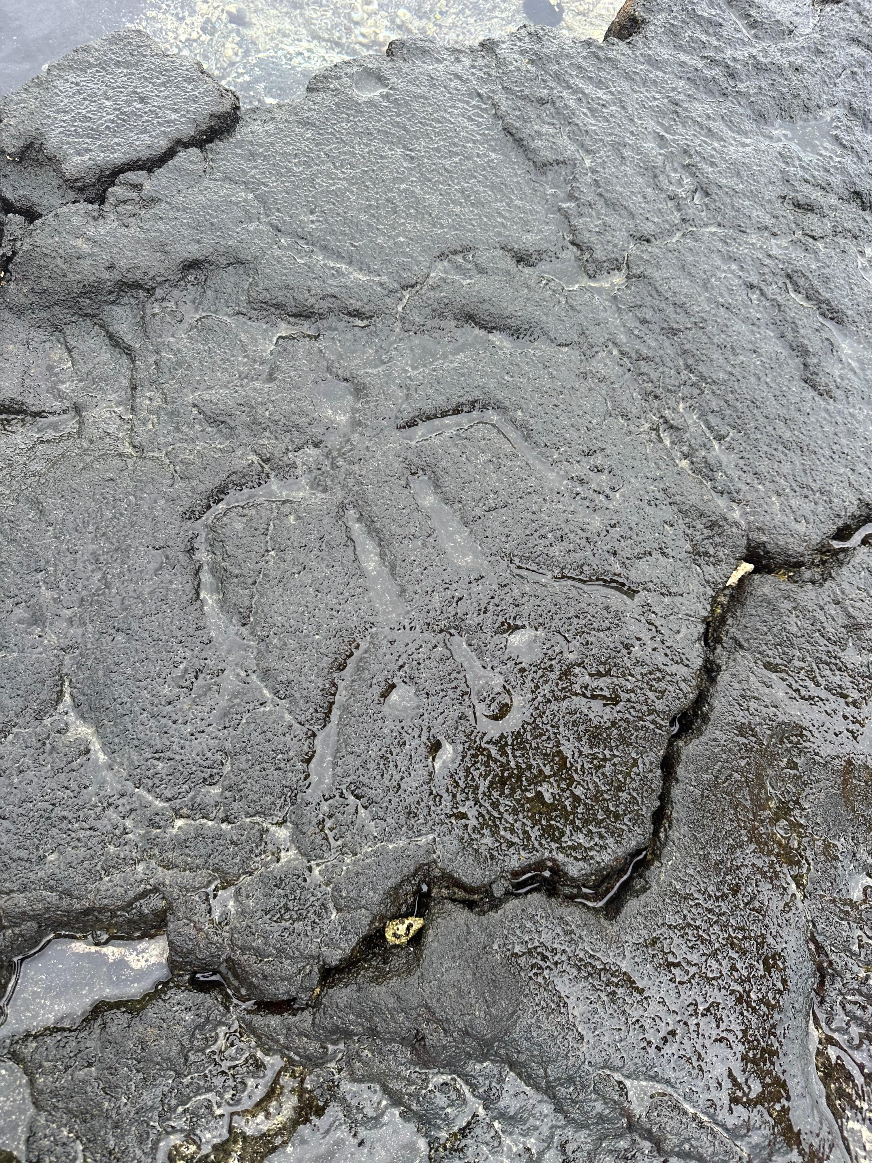 Petroglyphs on the beach