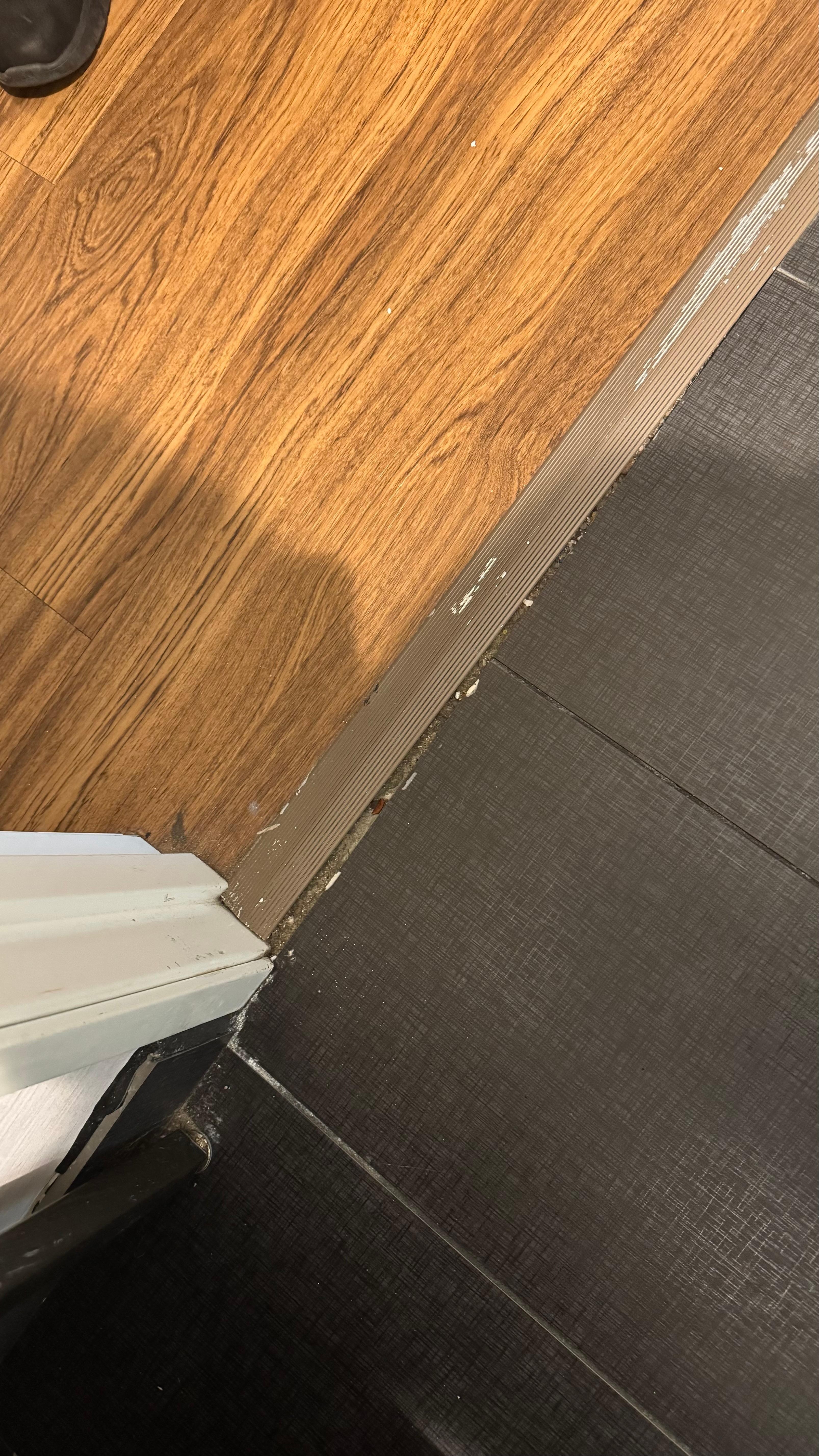 Bathroom door jam defect, hair and dust.