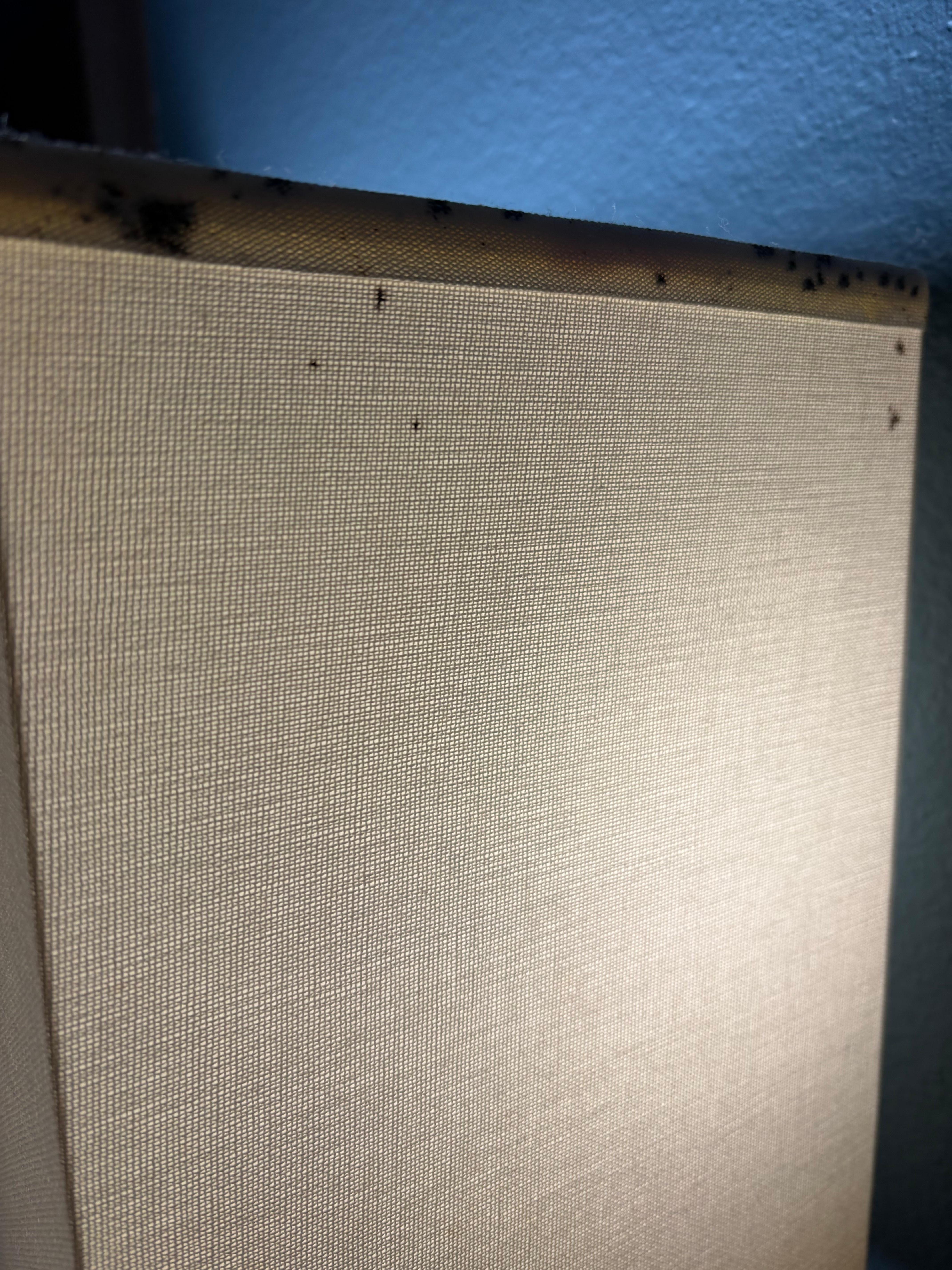 Move stains of possible bed bugs infestation.