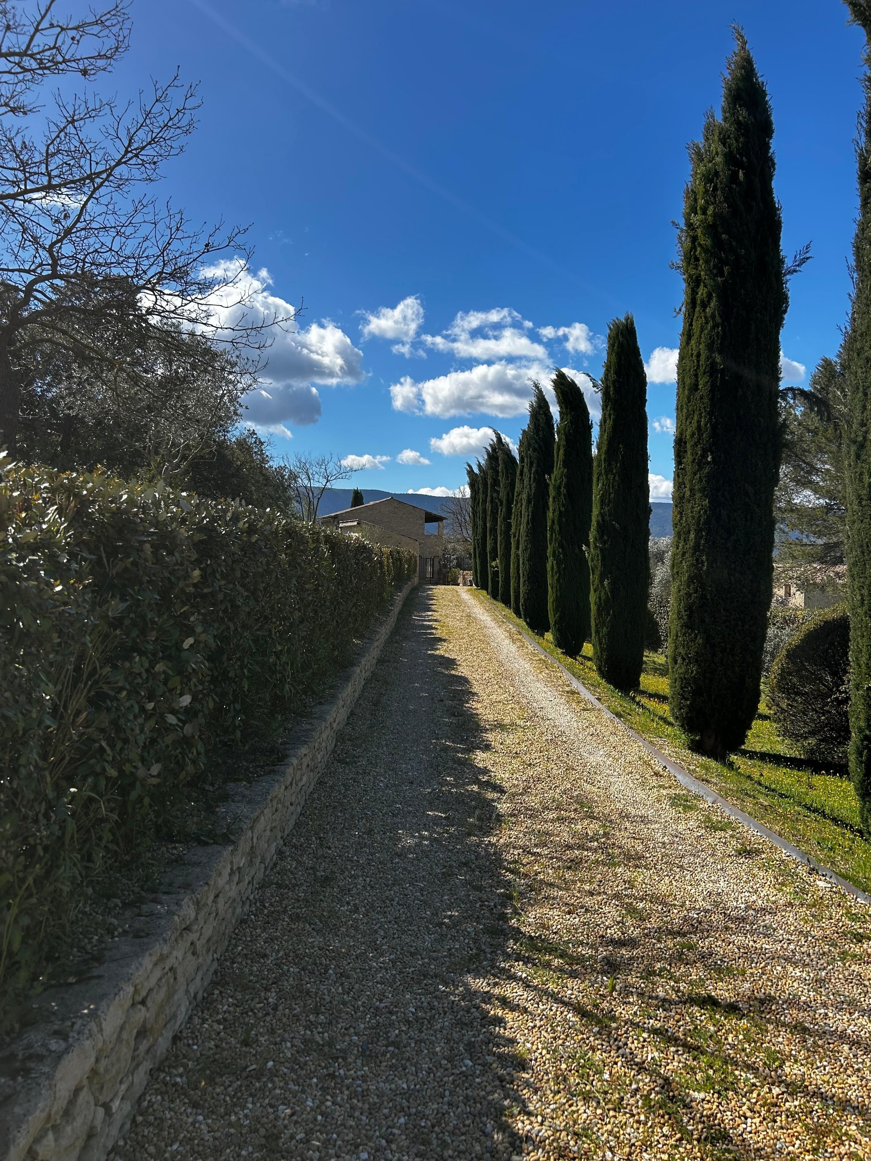 Beautiful gated entrance to home 
