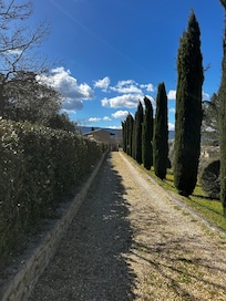 Beautiful gated entrance to home