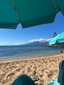 Snorkeling for Sea Turtles:)