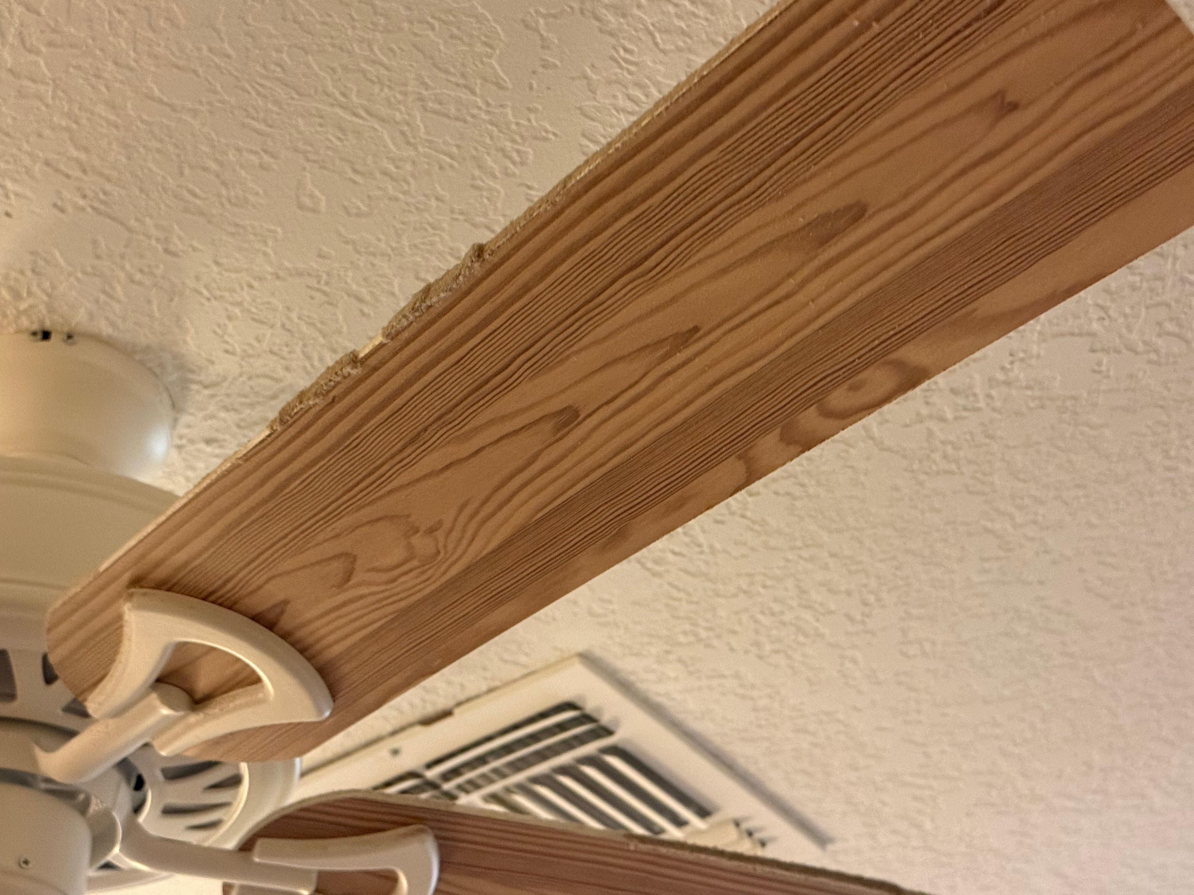 The fans upon arrival