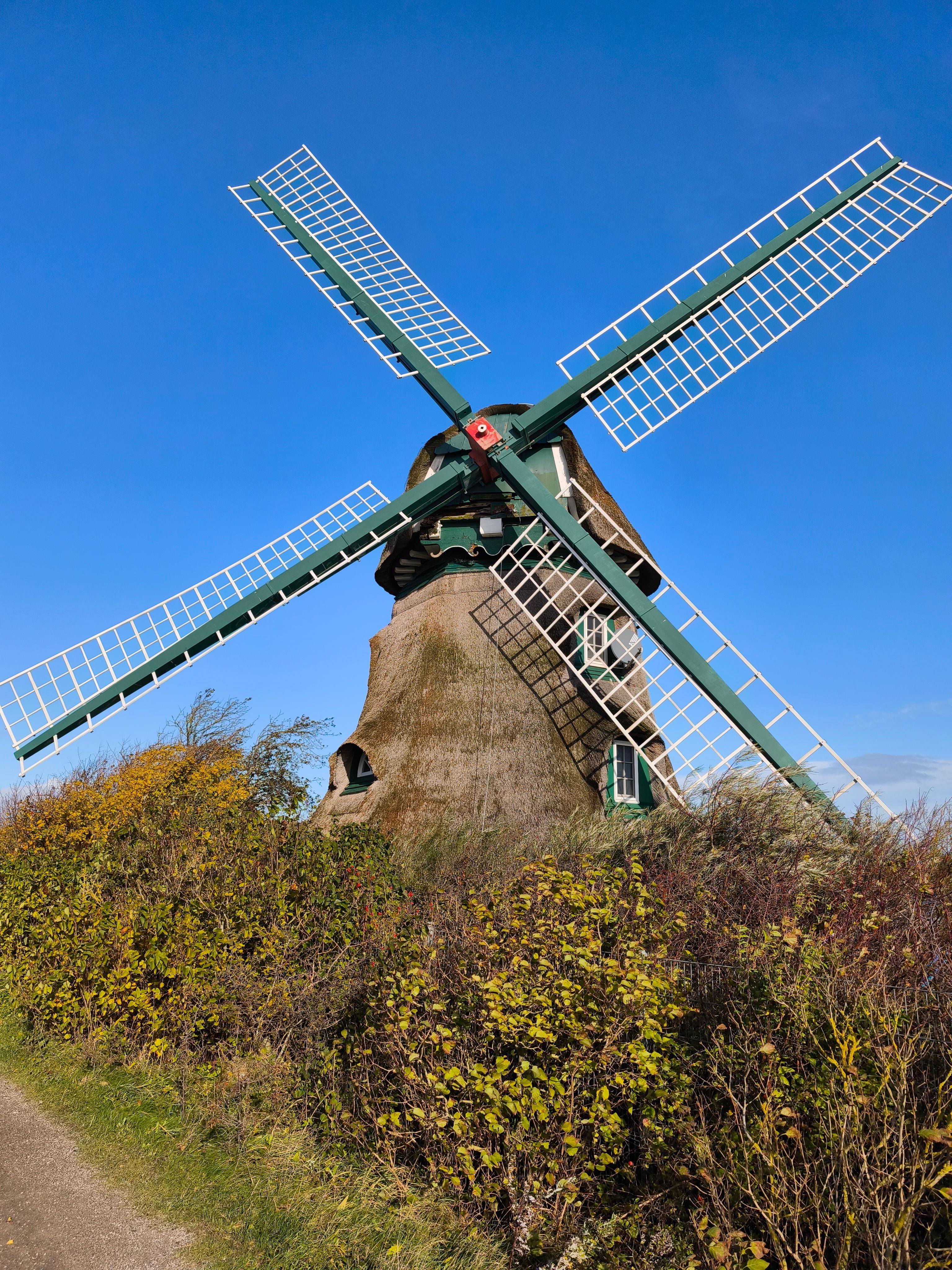 Mühle im Naturschutzpark Geltinger Birk 