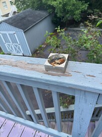 Ashtray left on balcony