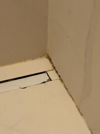 Black mold in shower