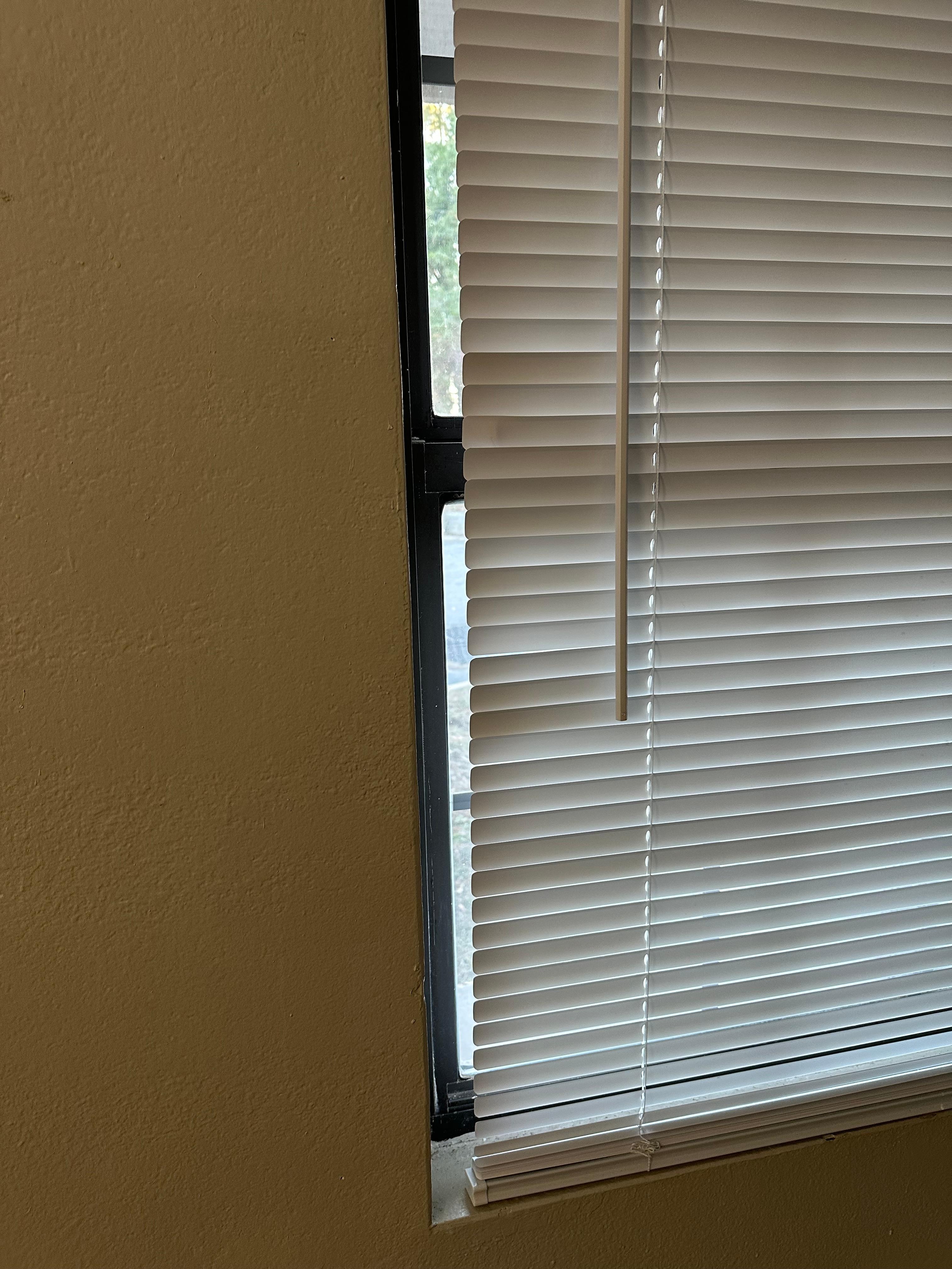 The thin blinds in the first room.