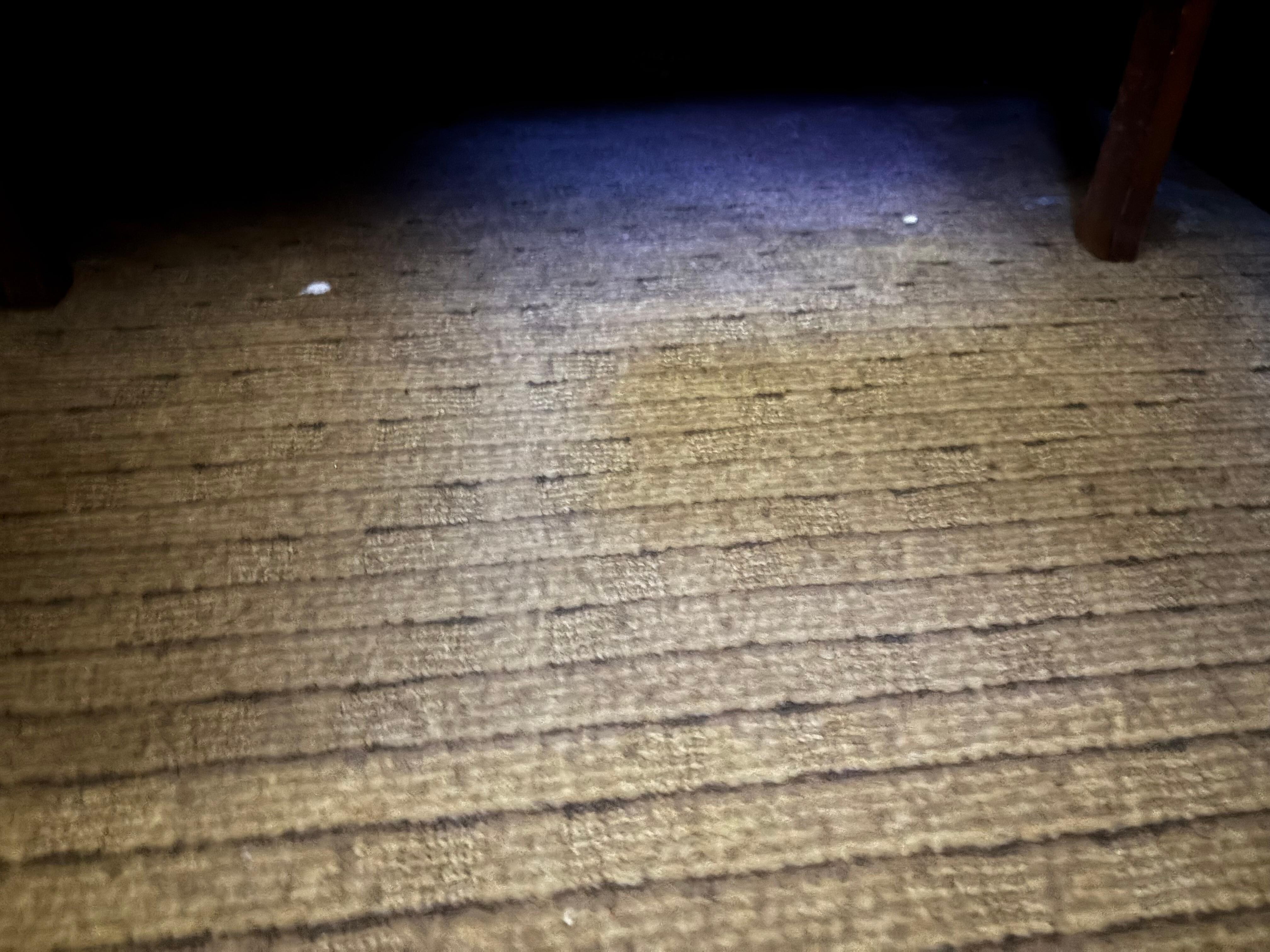 dirty floor