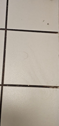 Random "curly" hair.