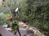 Sounds of the River