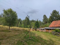 Waldrand an der Ferienwohnung