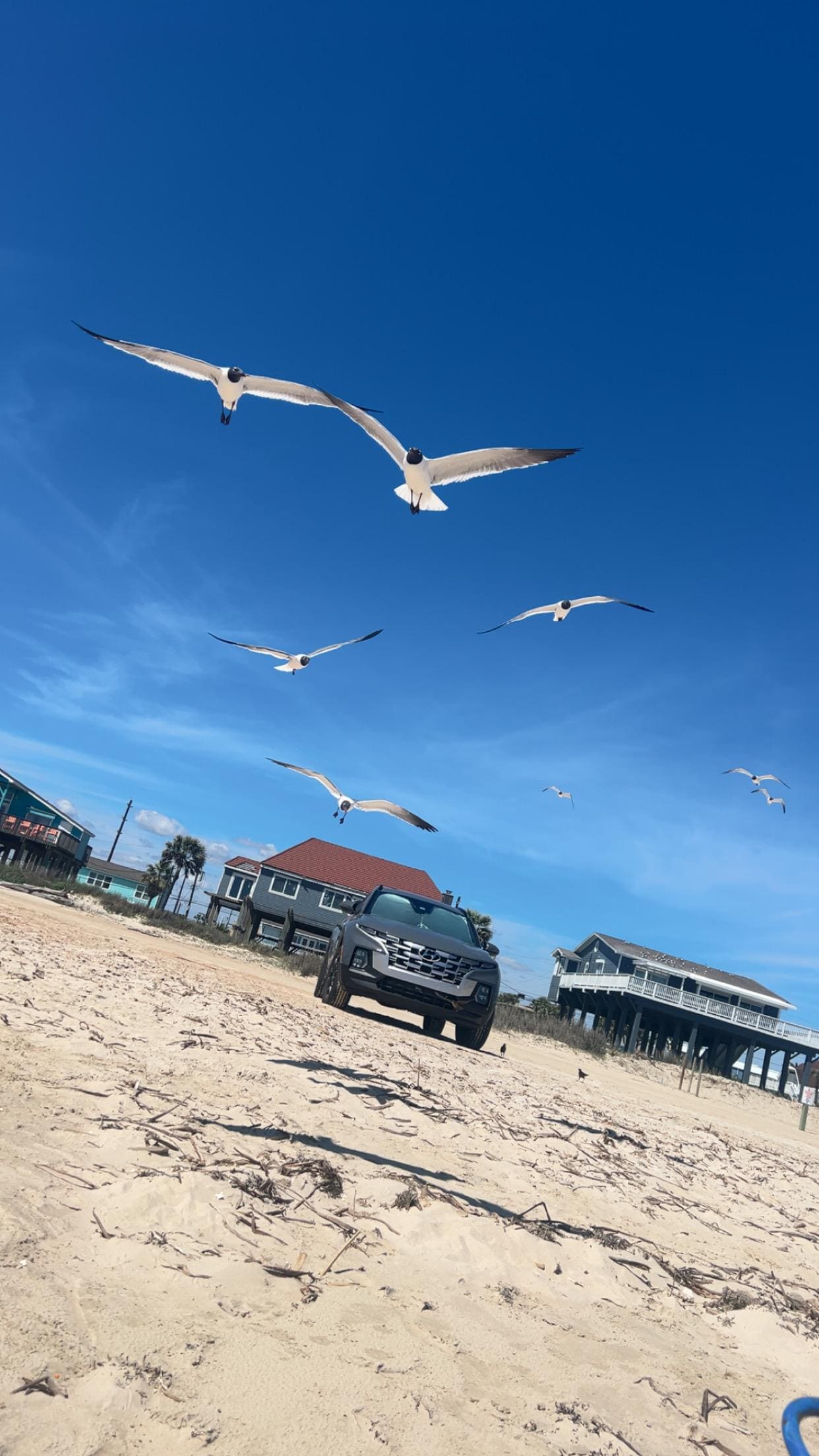 Jamaica beach 15 minutes away lets you pull your car right onto the beach. 