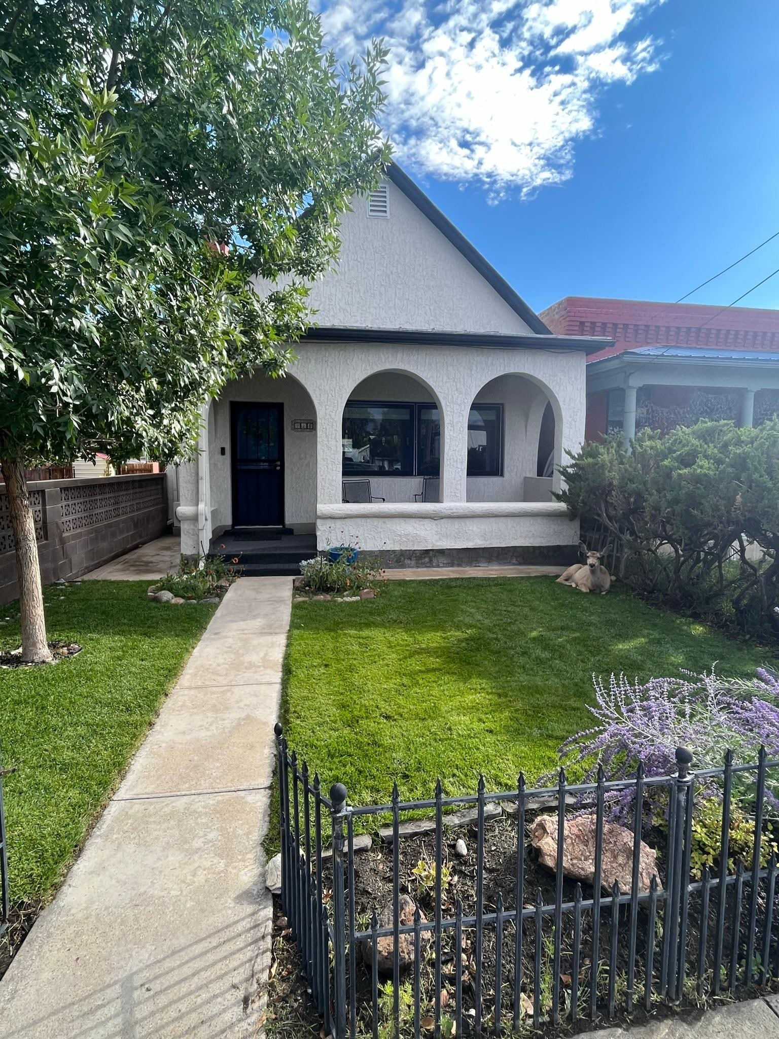 Lovely property with our special visitor 