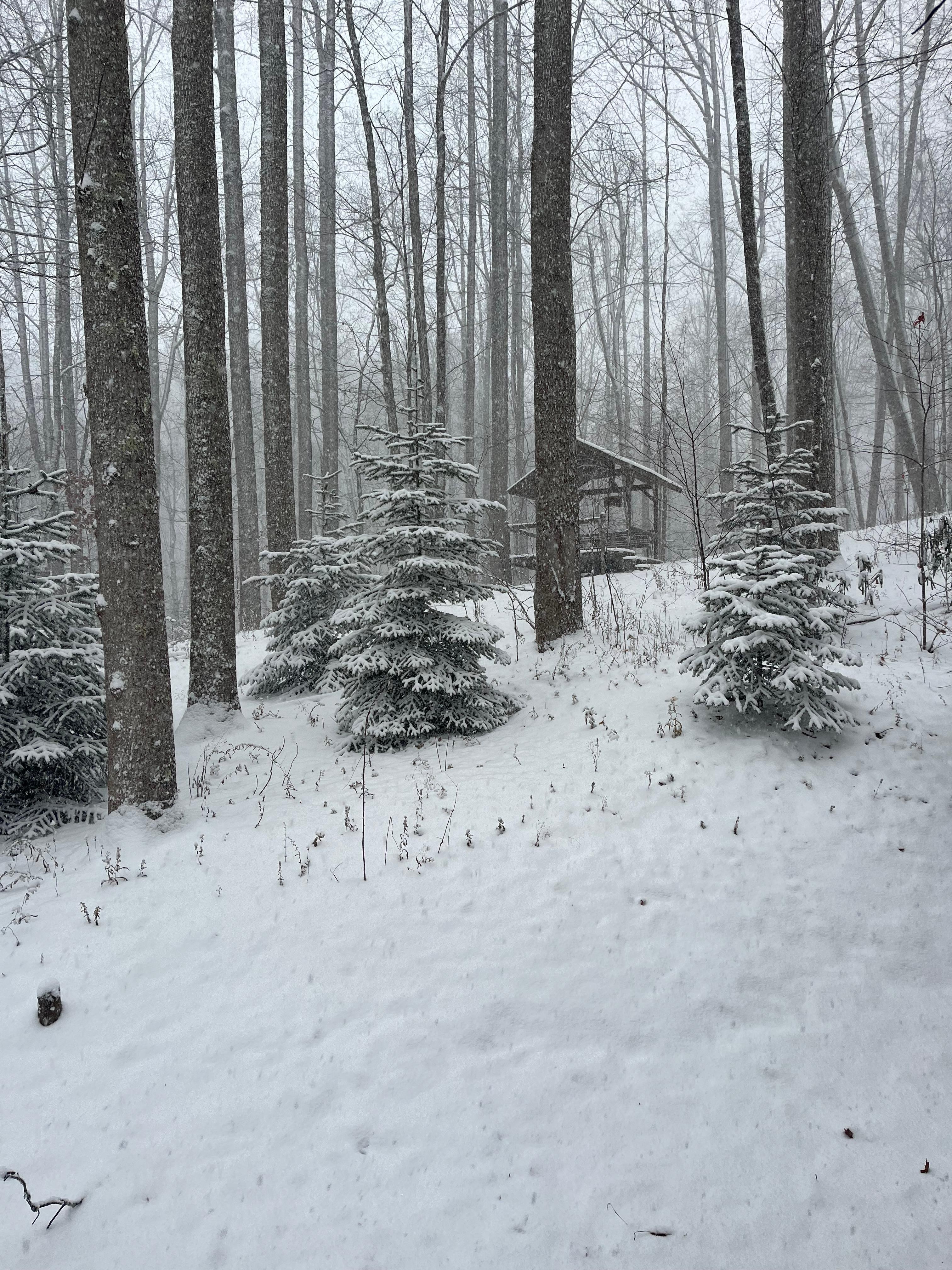 Early season snow looking uphill at the outside seating area. 